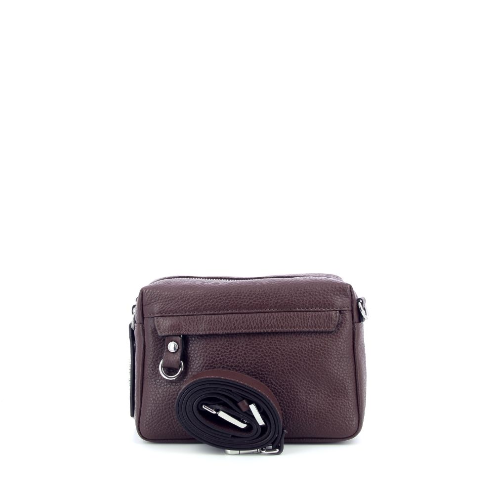 Carol J. Handtas 239560 bruin