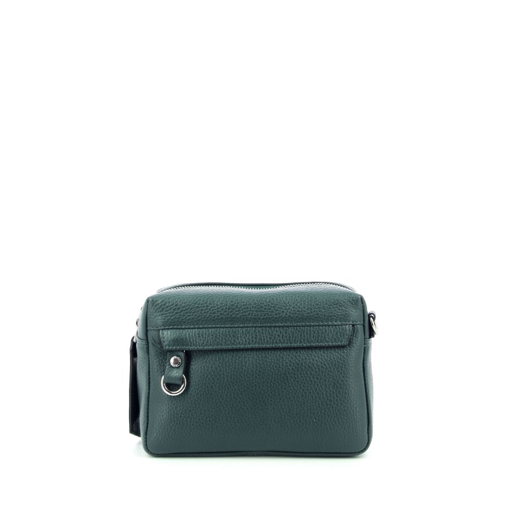 Carol J. Handtas 239563 groen