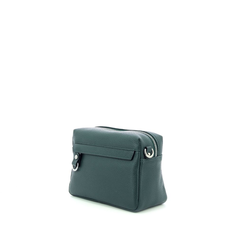 Carol J. Handtas 239563 groen