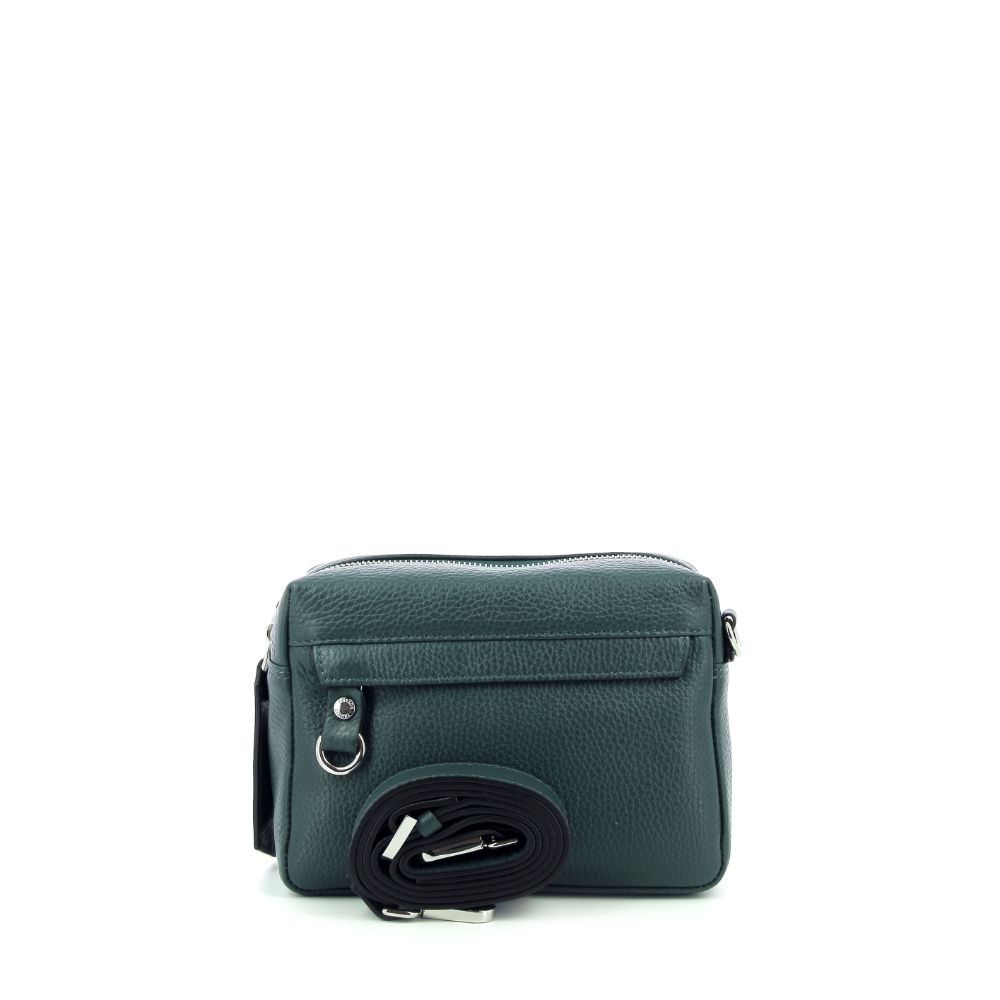 Carol J. Handtas 239563 groen