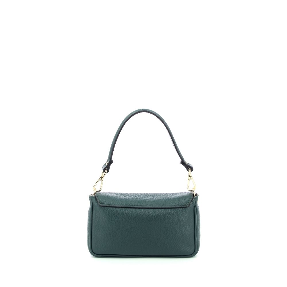 Carol J. Handtas 239586 groen