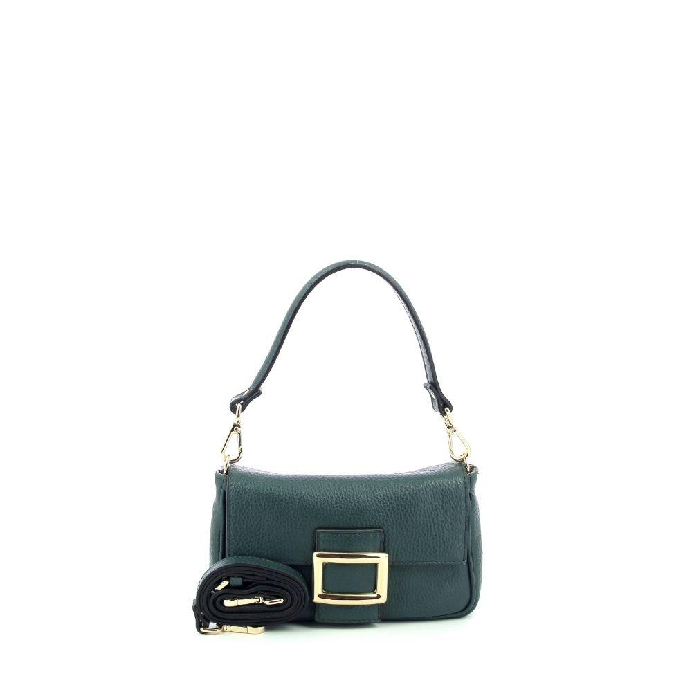 Carol J. Handtas 239586 groen