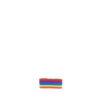 Moneyband Rainbow