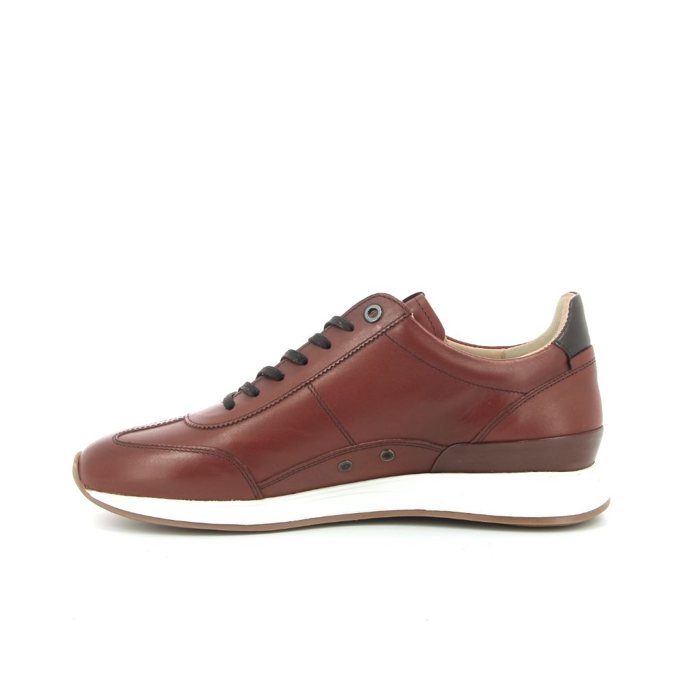 Van Bommel Libra 03.07 242772 cognac