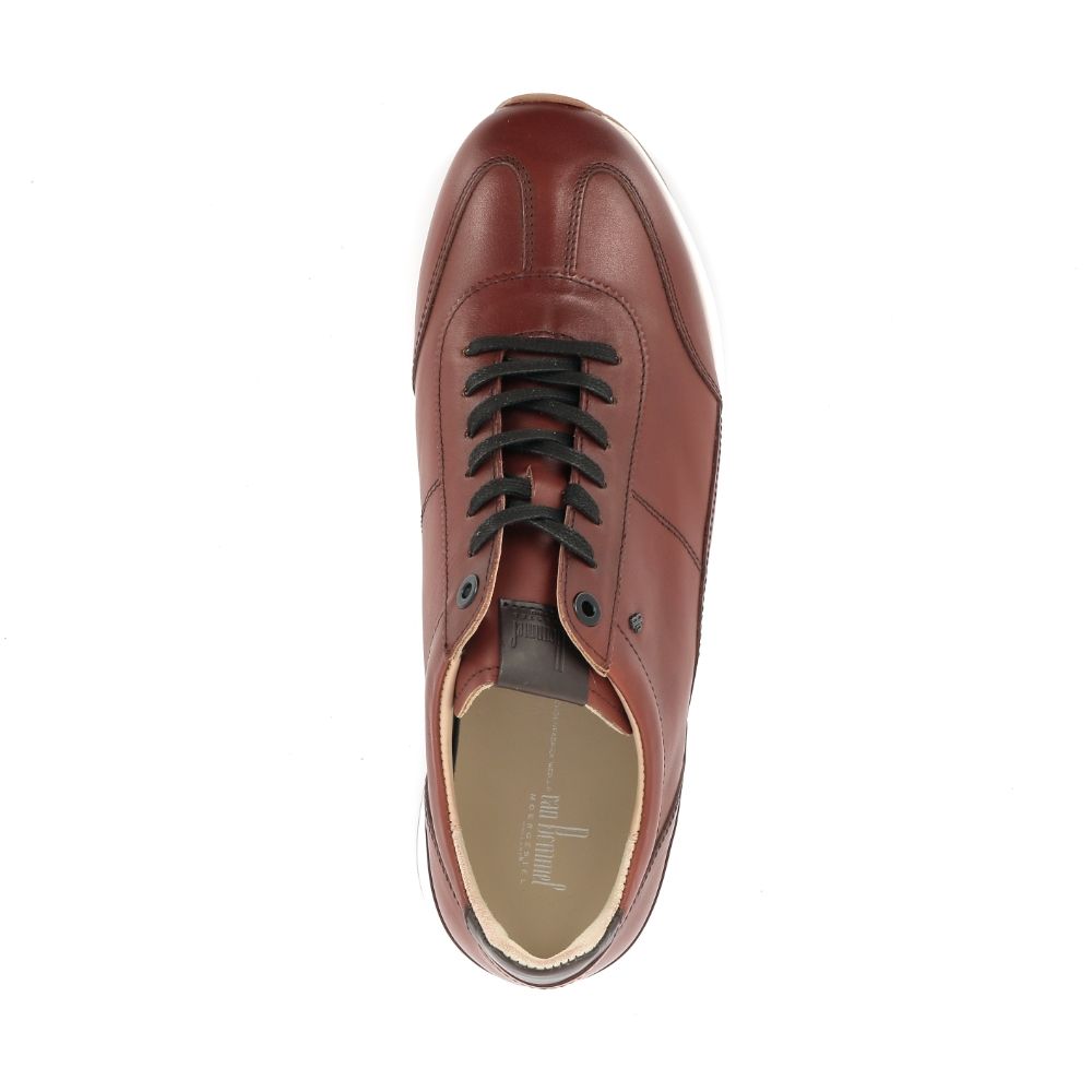 Van Bommel Libra 03.07 242772 cognac