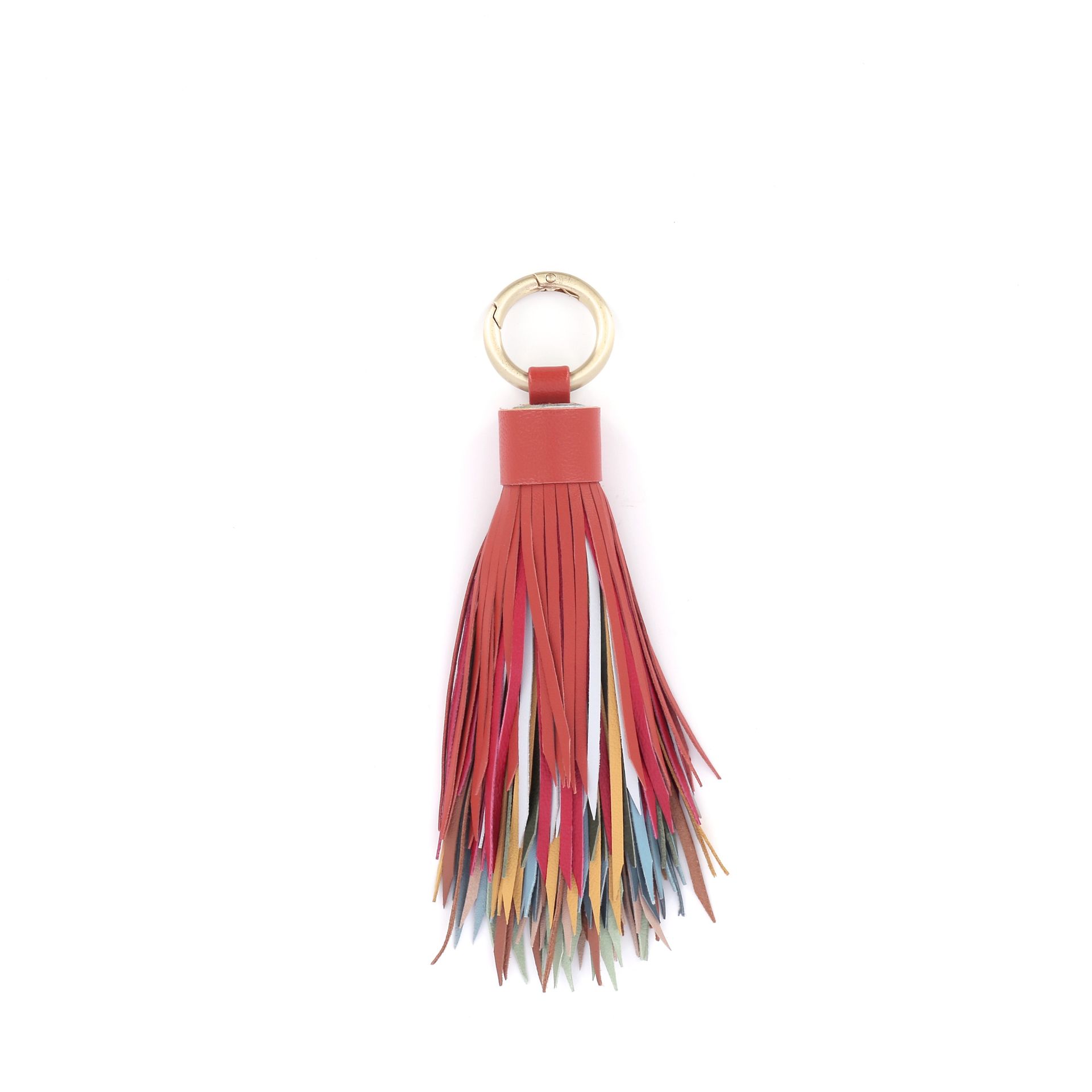 Allan K TASSEL 243126 multi