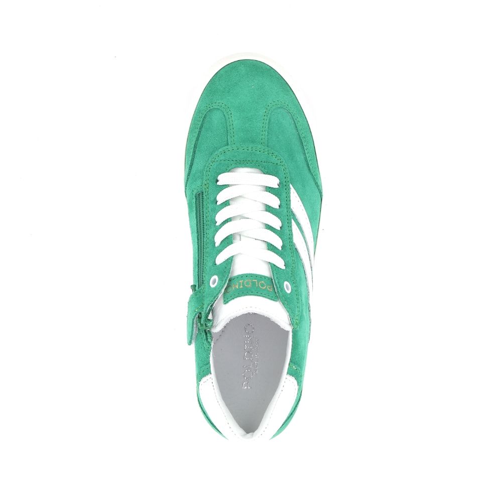 Poldino Sneaker 243830 groen