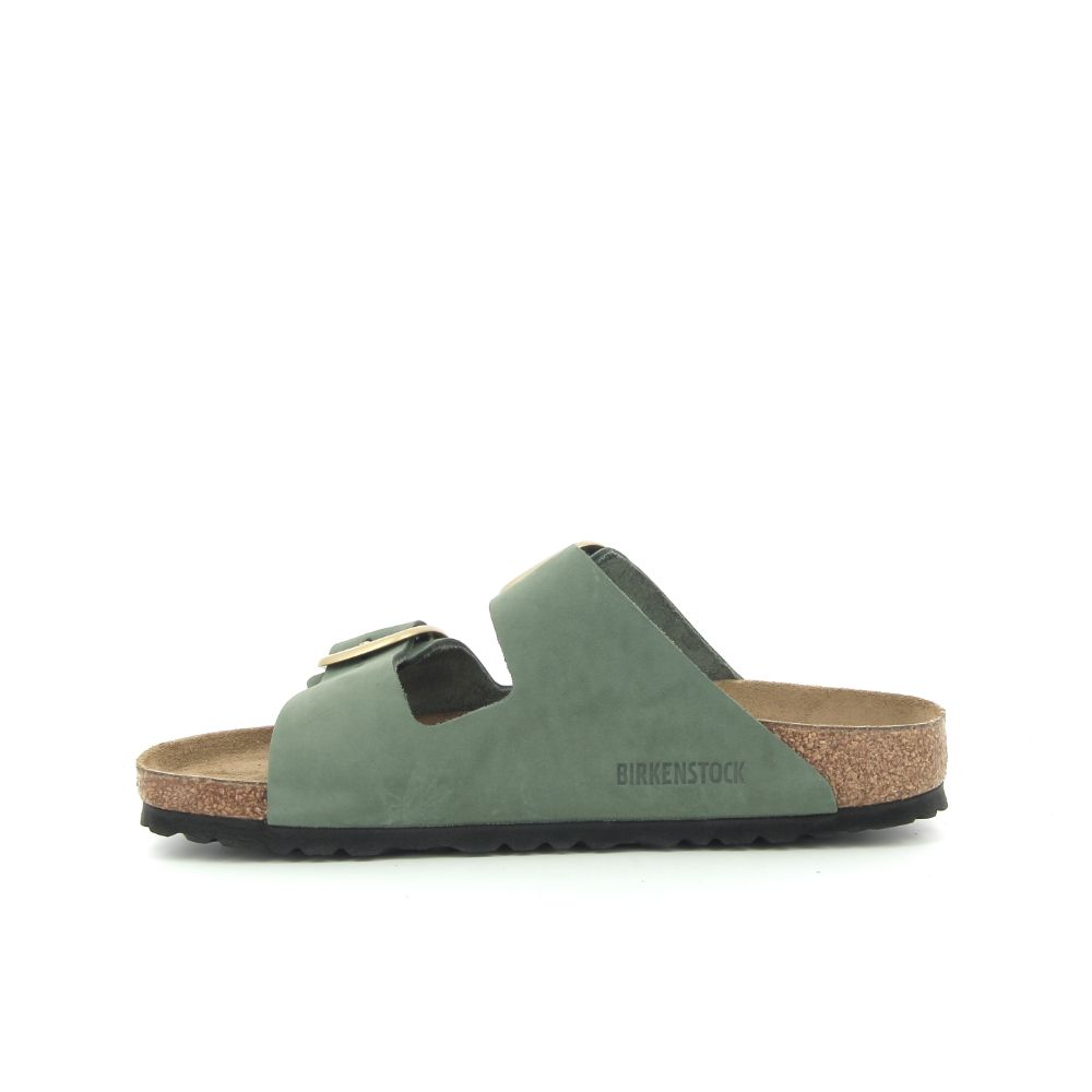 Birkenstock Arizona Big Buckle 246914 groen