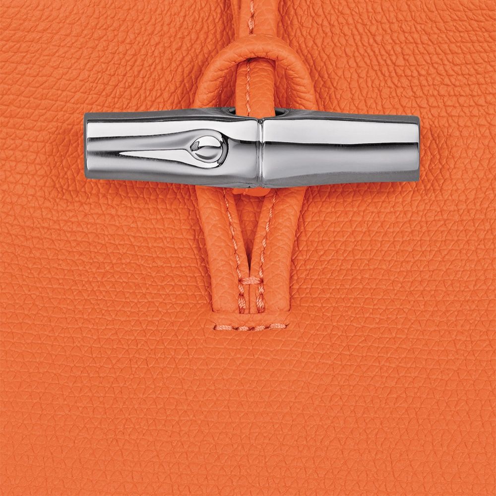 Longchamp Le Roseau 247390 oranje