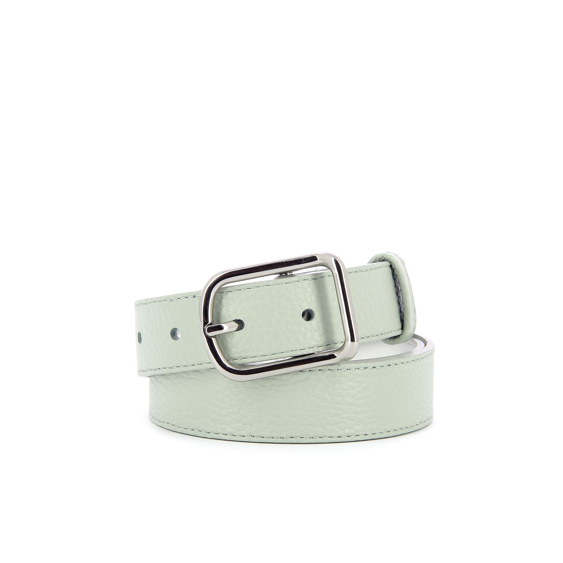 Han MEREL 247467 groen