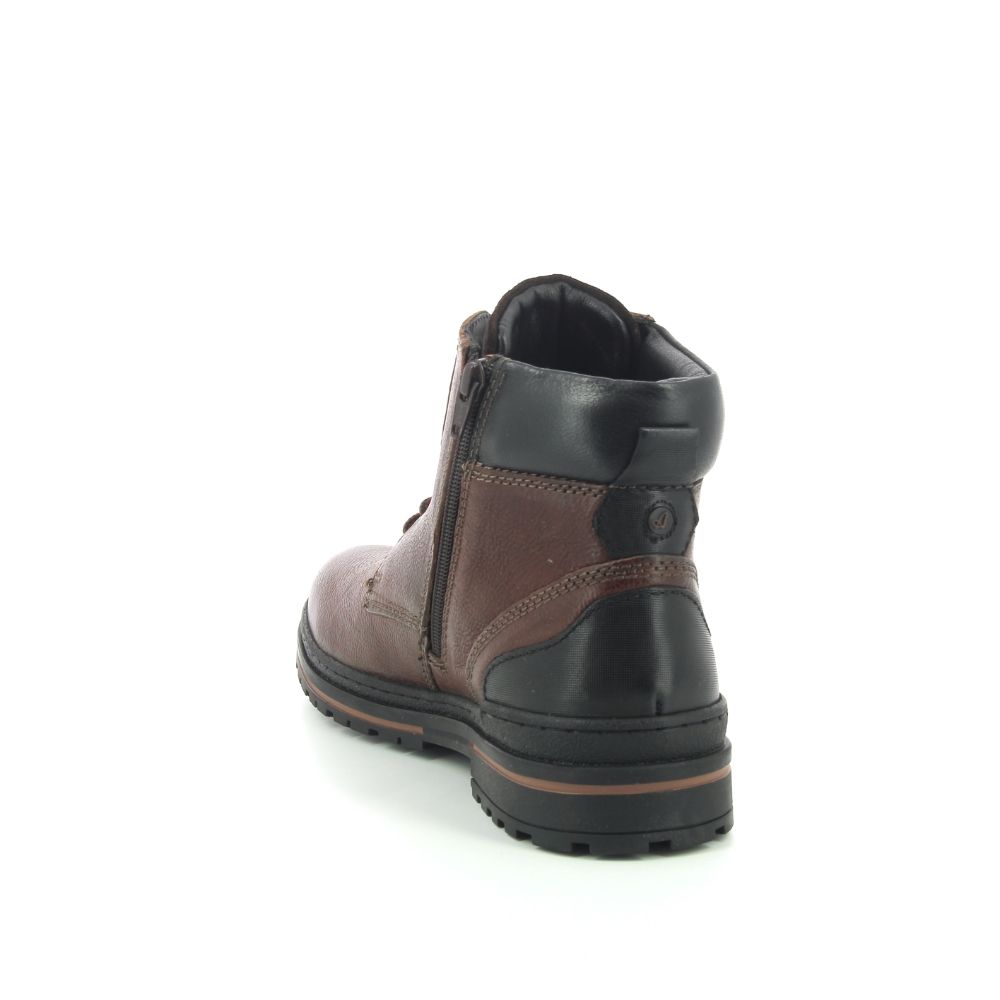 Australian Yorkshire 248729 cognac