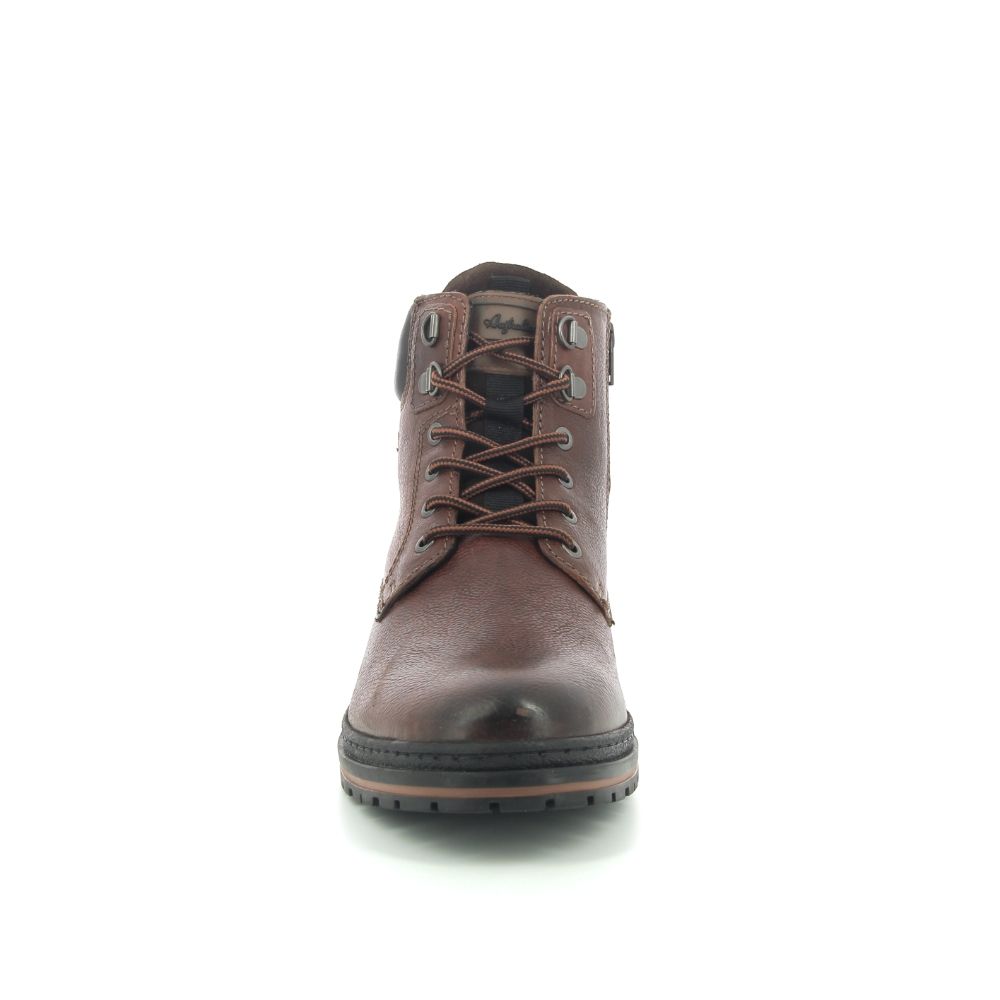 Australian Yorkshire 248729 cognac