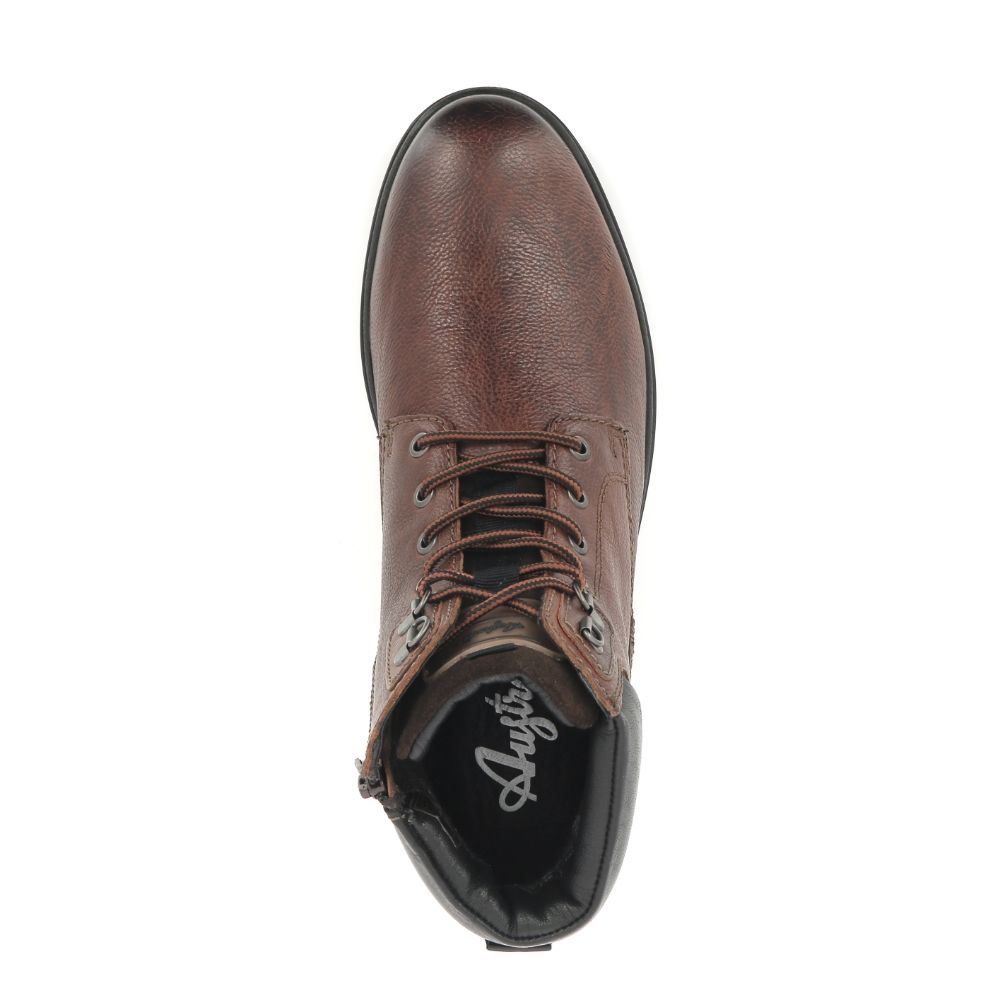 Australian Yorkshire 248729 cognac