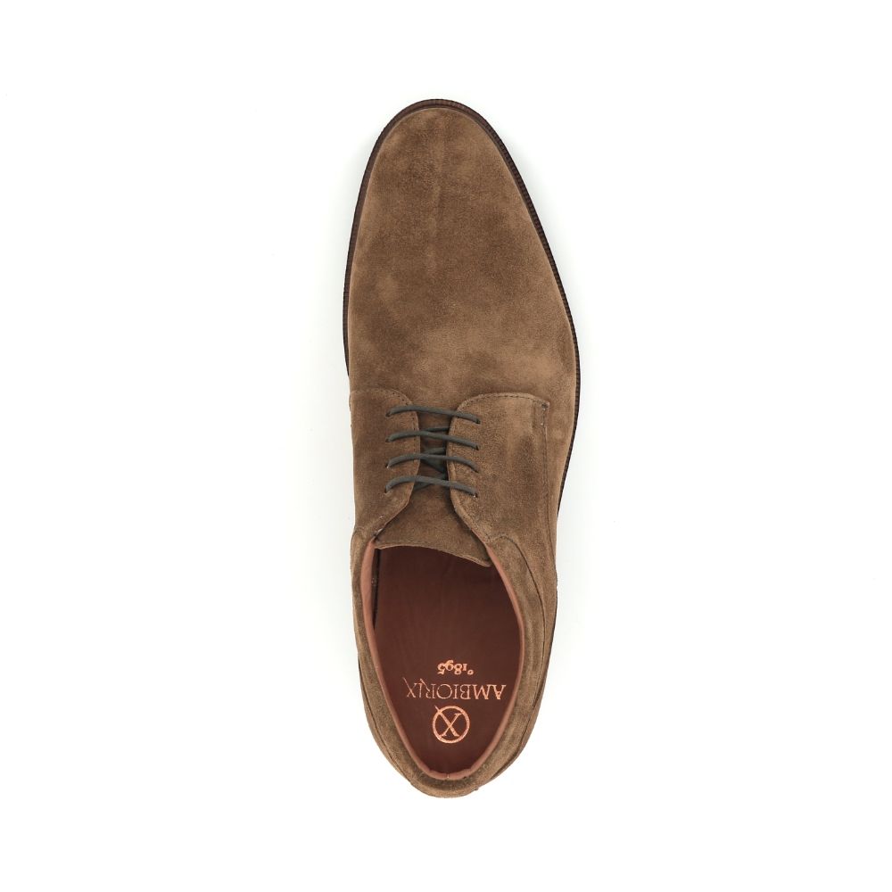 Ambiorix Aldo Sup 1 249461 cognac