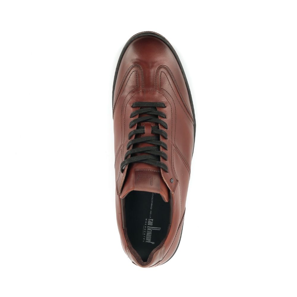 Van Bommel Bora 01.06 249546 cognac