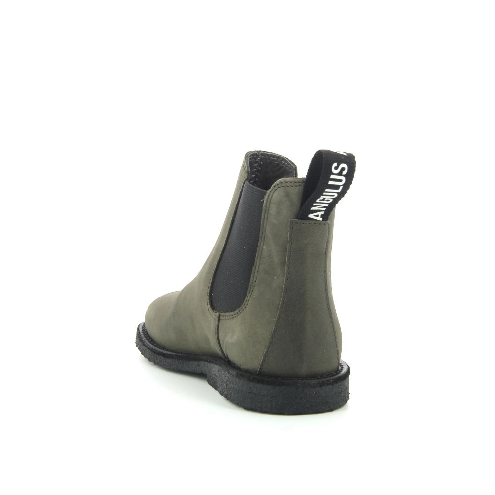 Angulus Boots 249893 groen