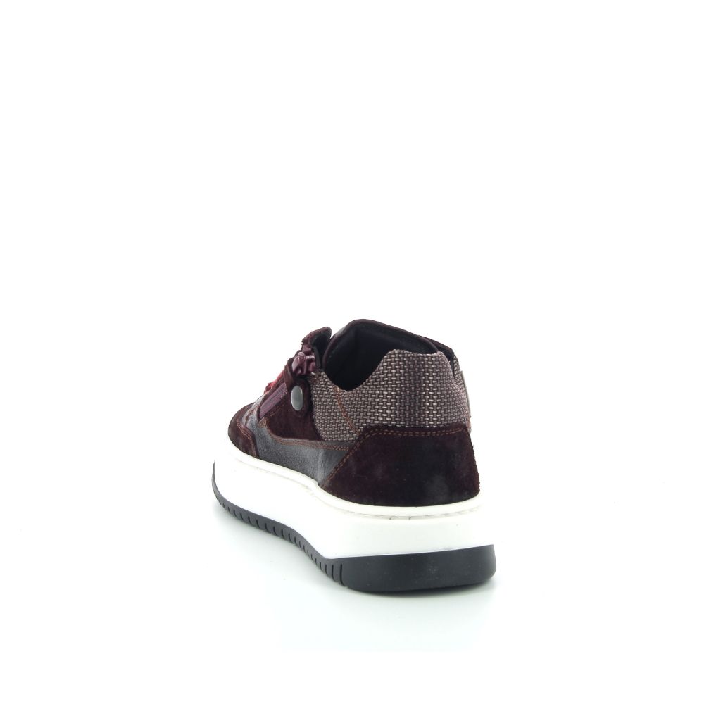 Rondinella Sneaker 249931 rood