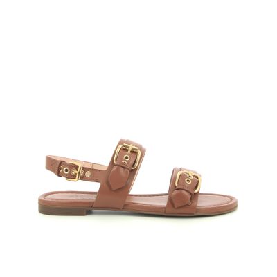 Summer Multi Buckles