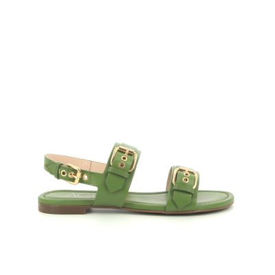 Summer Multi Buckles
