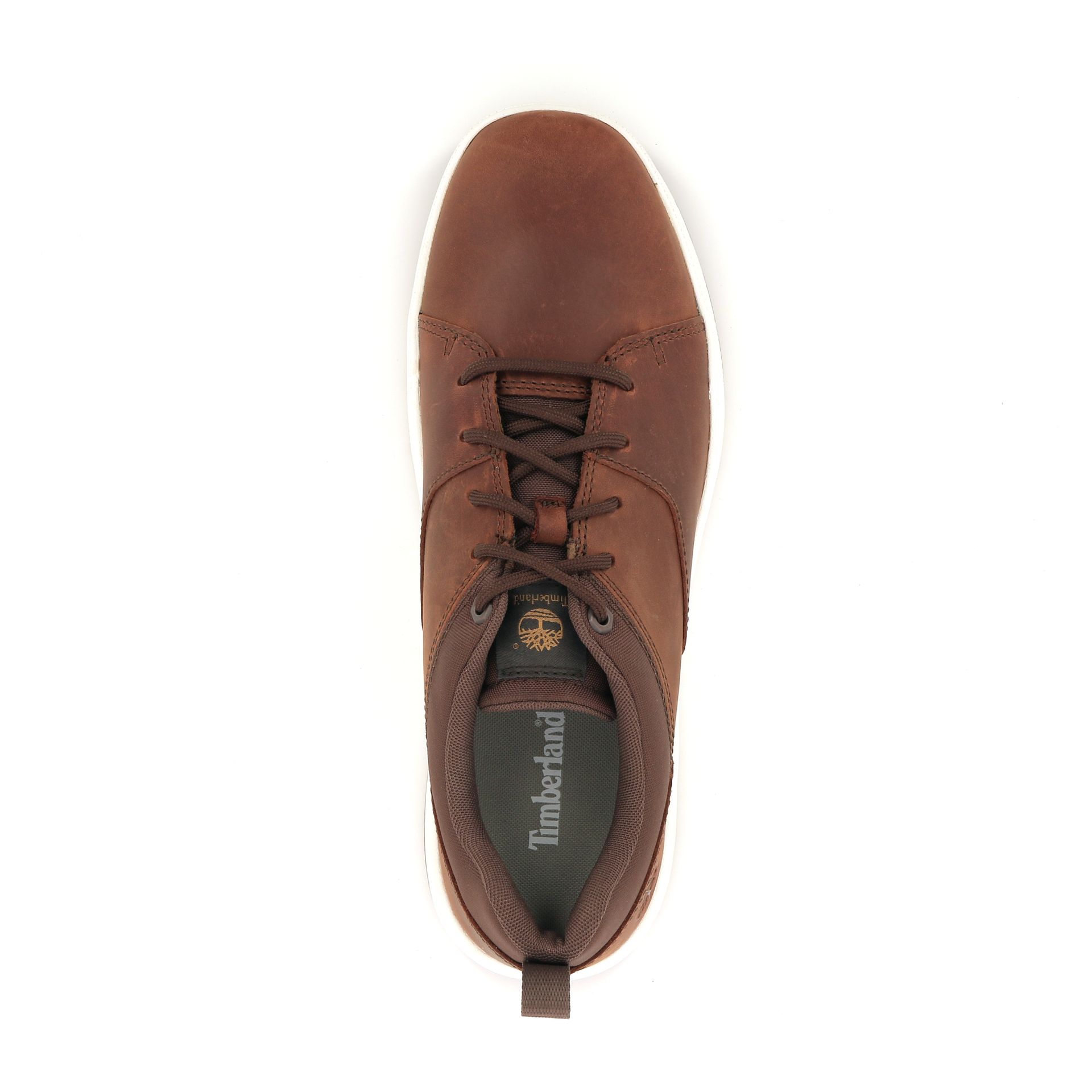 Timberland Sneaker 251229 cognac