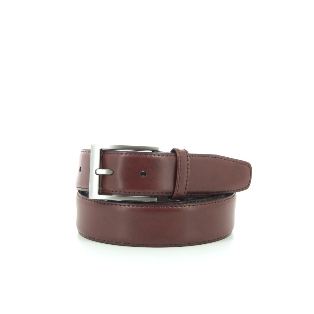 Bradbury Riem 251547 bruin