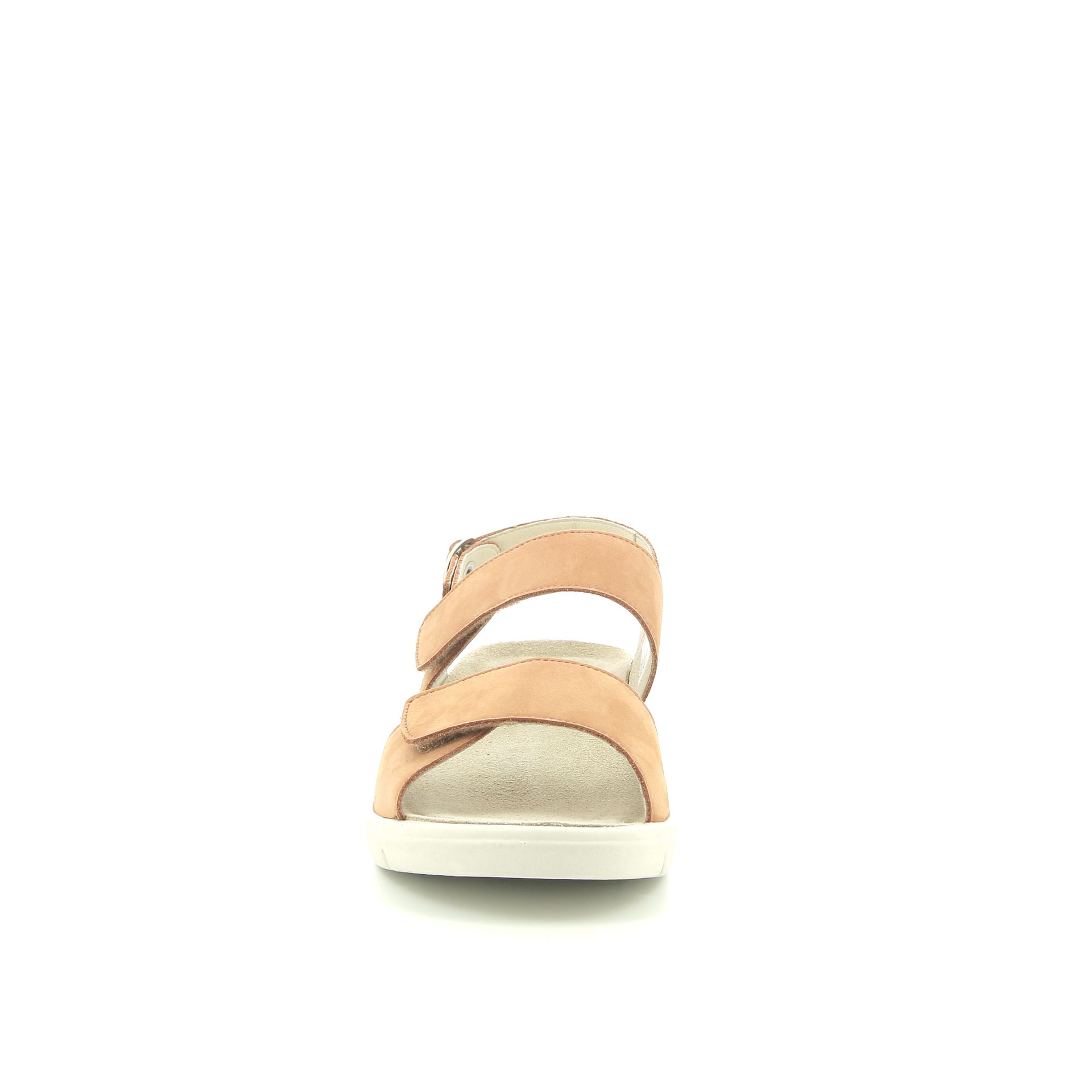 Solidus Honey H 251670 cognac