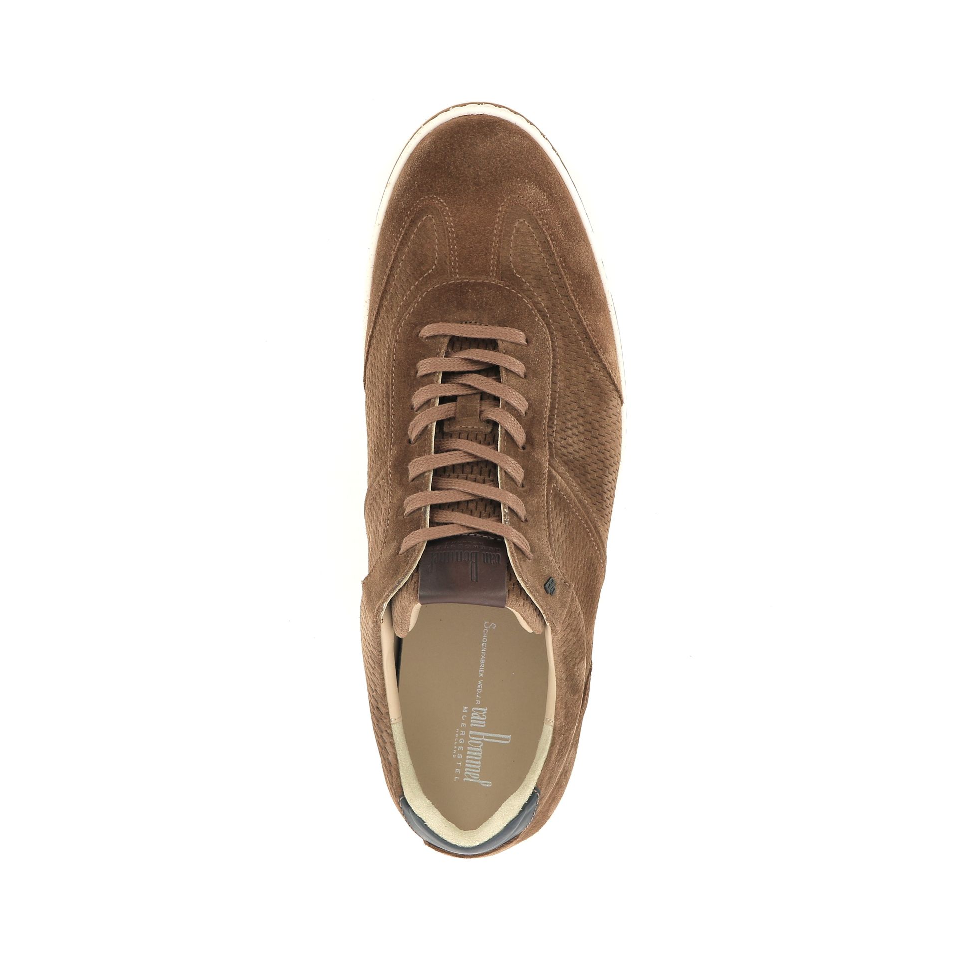 Van Bommel Bora 01.14 253305 cognac