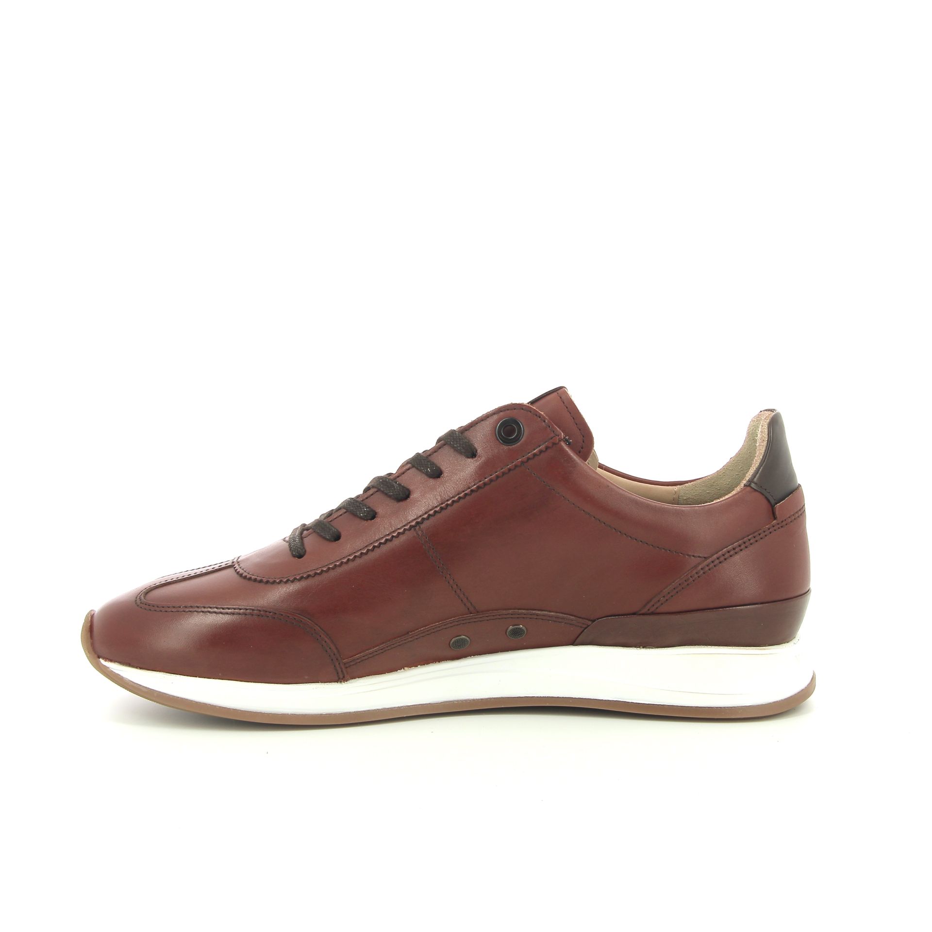 Van Bommel Libra 03.07 253307 cognac