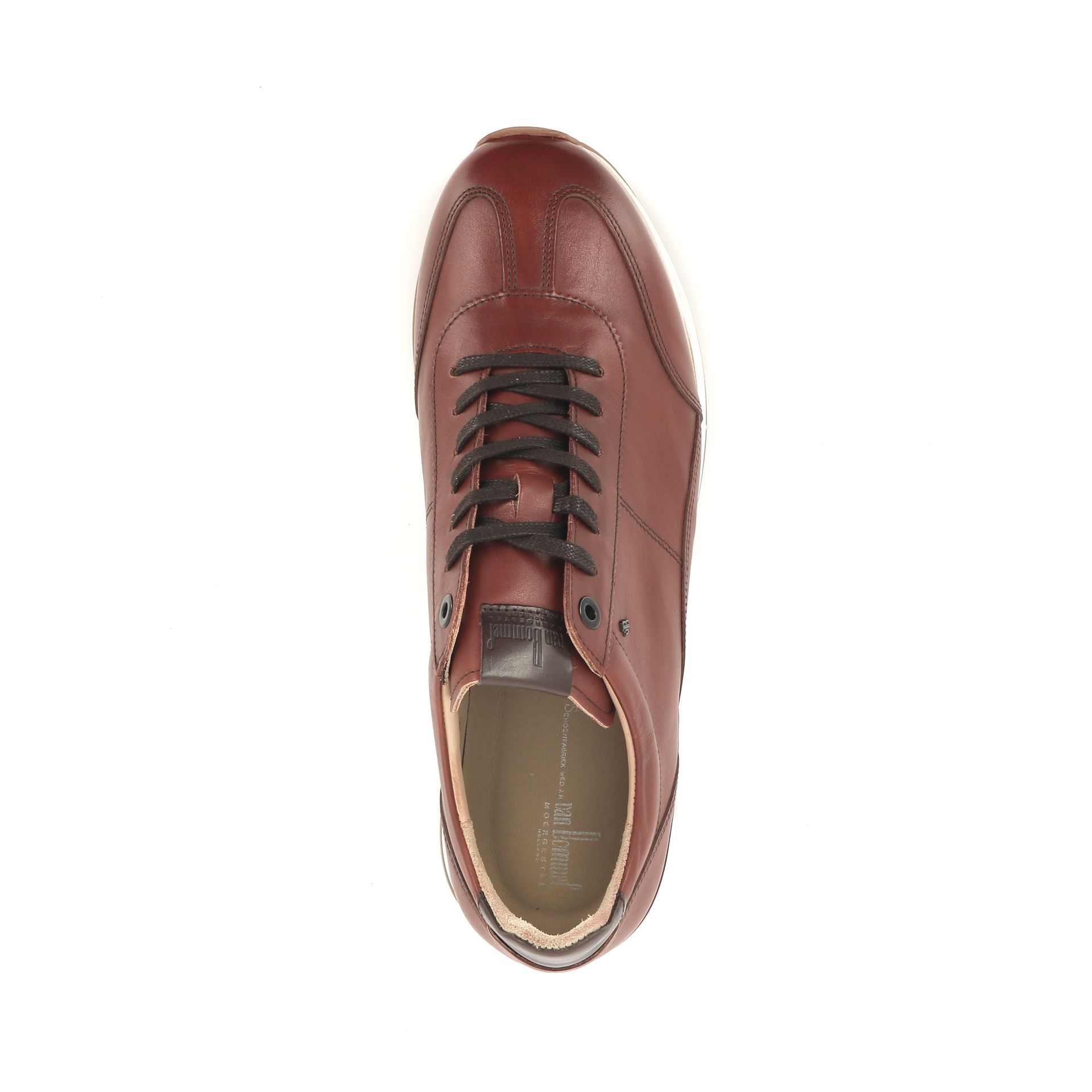 Van Bommel Libra 03.07 253307 cognac