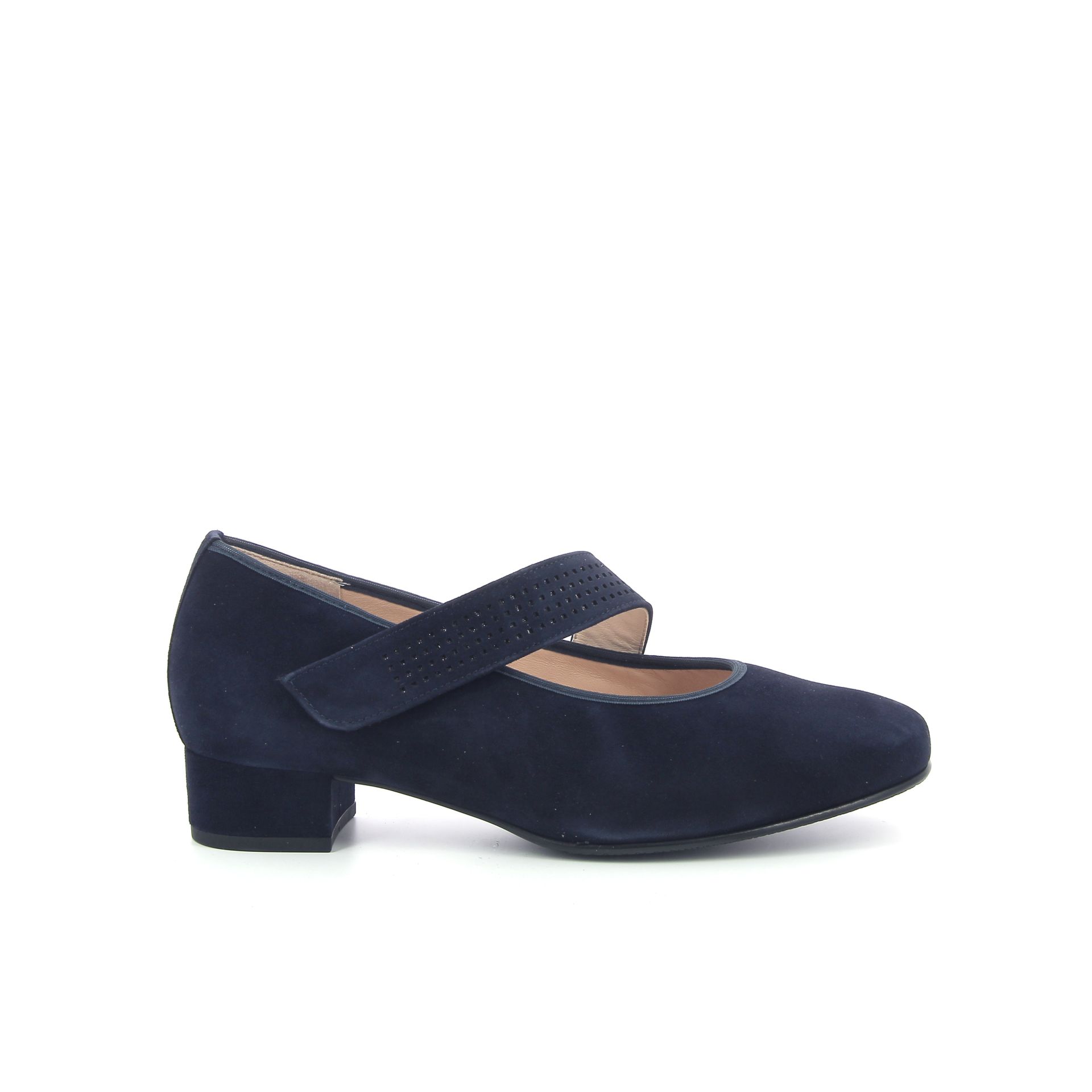 Hassia Pump 253838 blauw