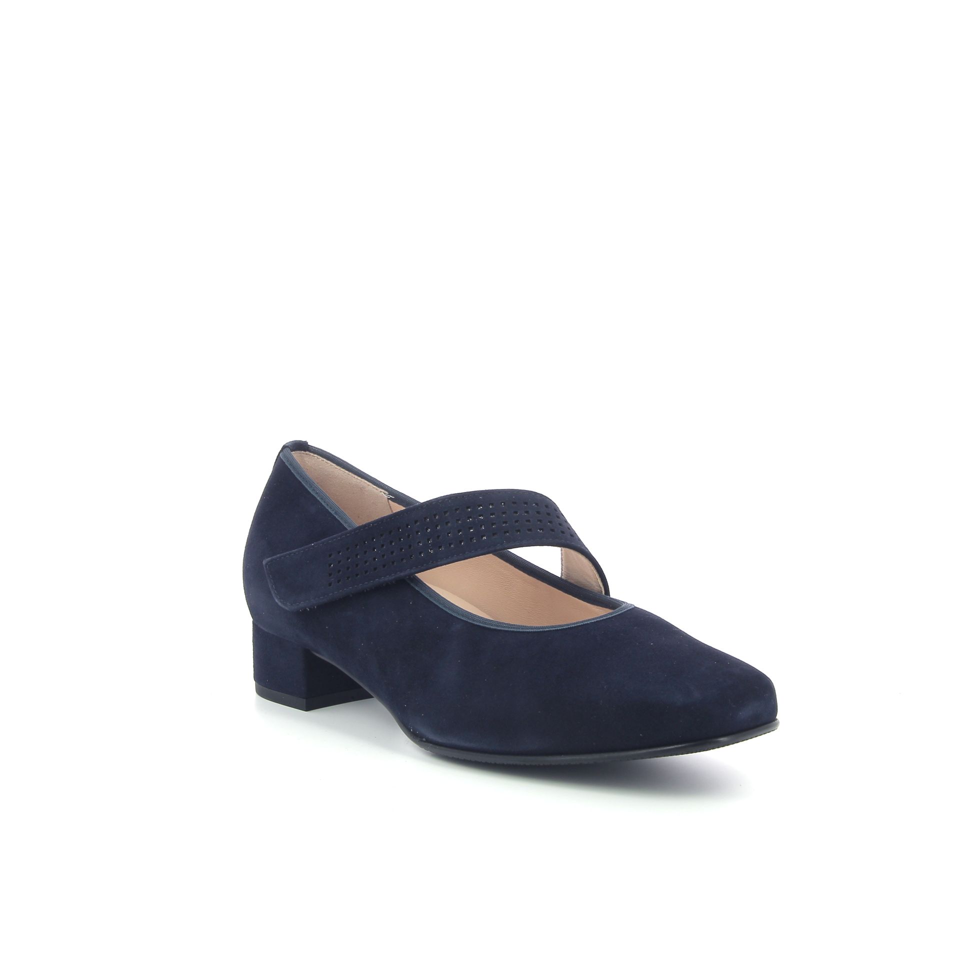 Hassia Pump 253838 blauw