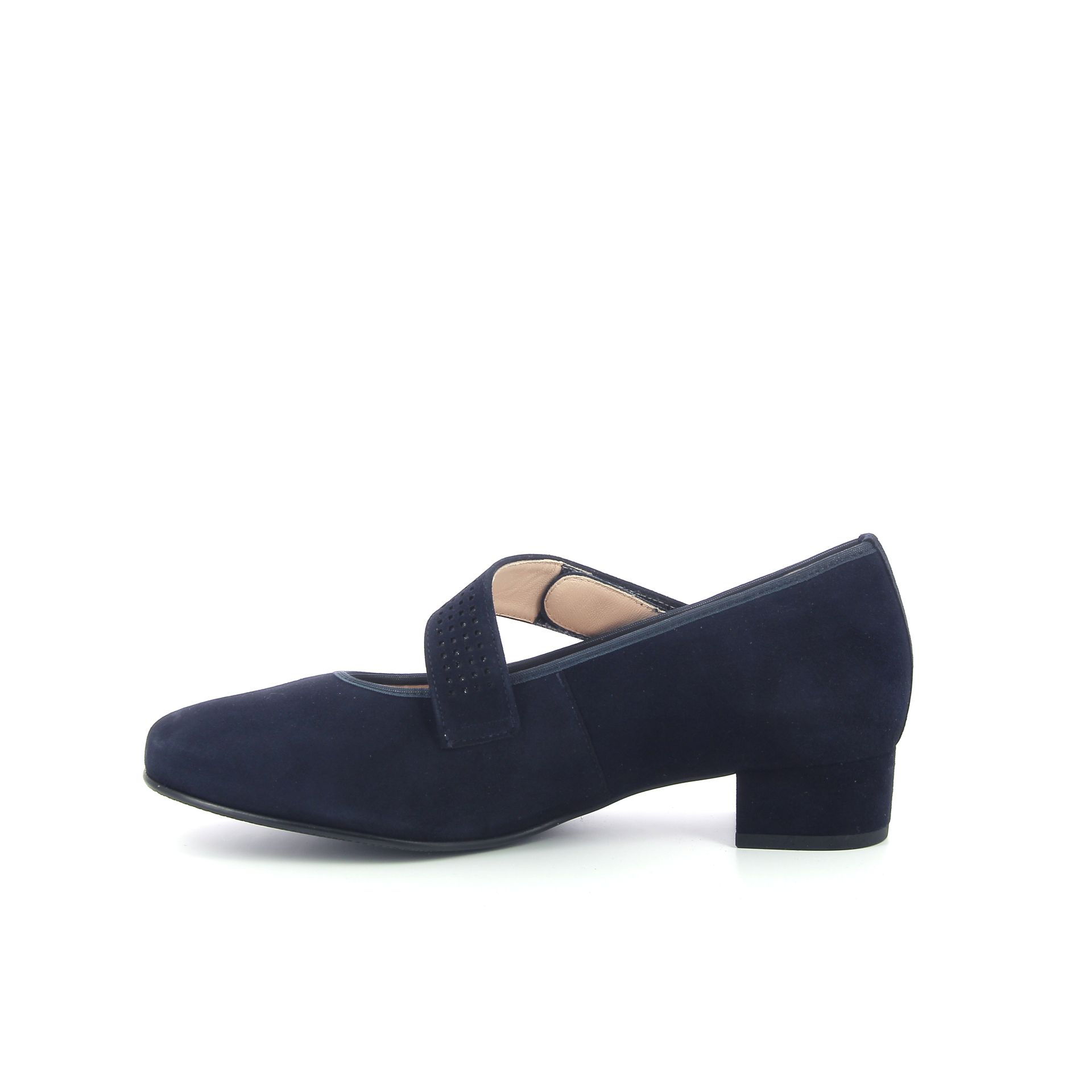 Hassia Pump 253838 blauw