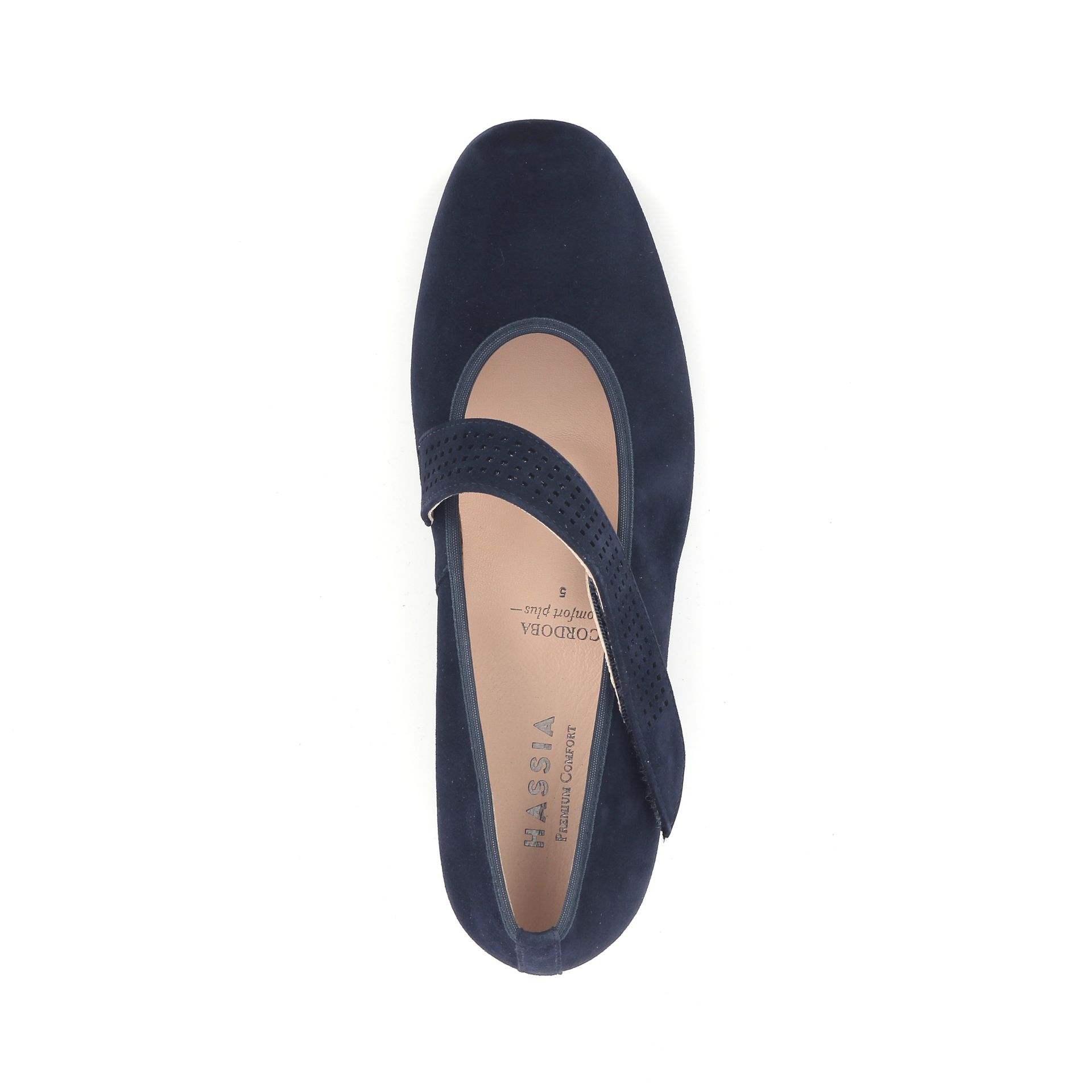 Hassia Pump 253838 blauw