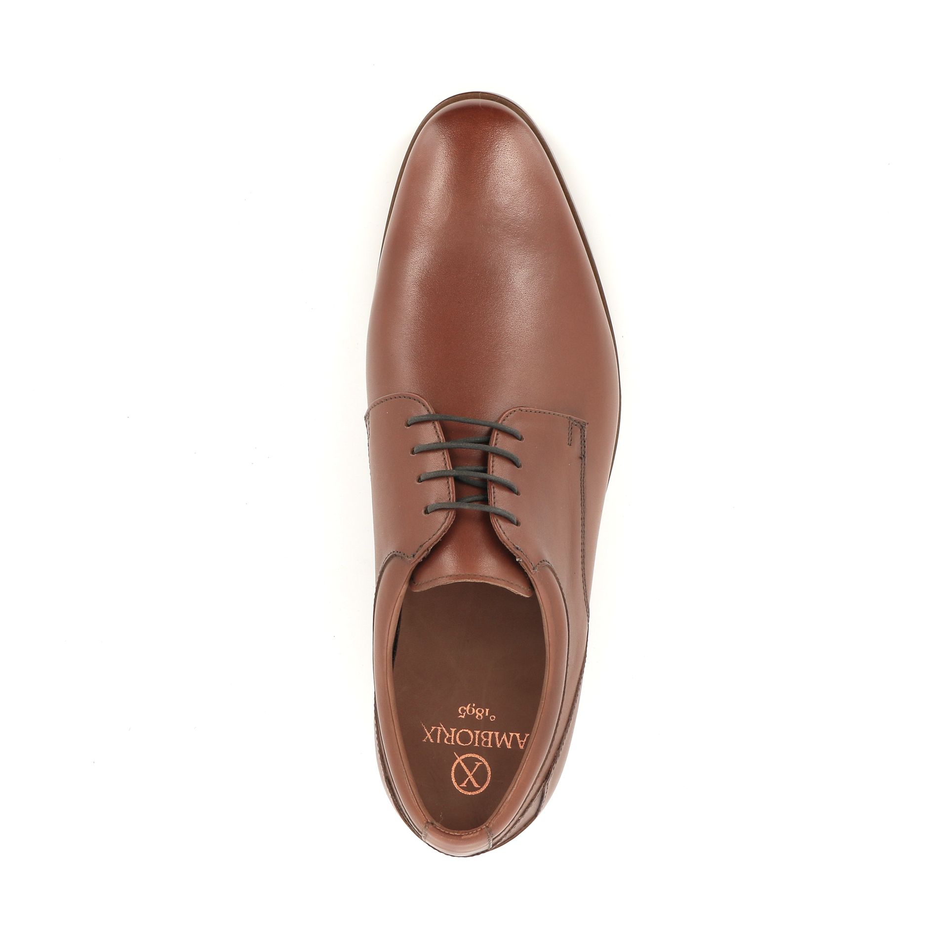 Ambiorix Aldo Sup 254334 cognac