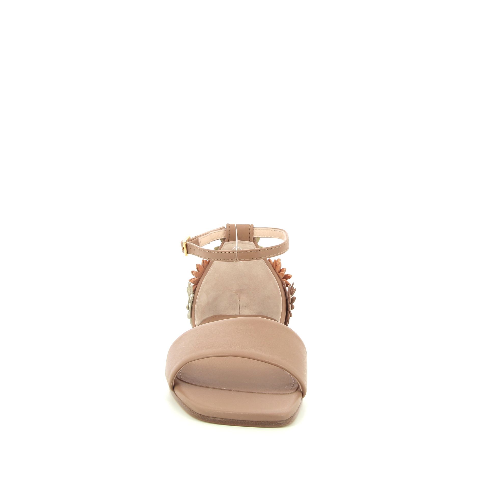 Agl Elsy 254721 cognac