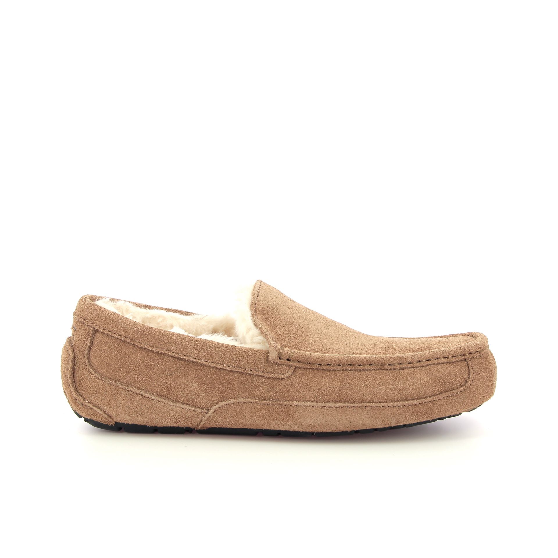 Ugg Ascot 255914 cognac