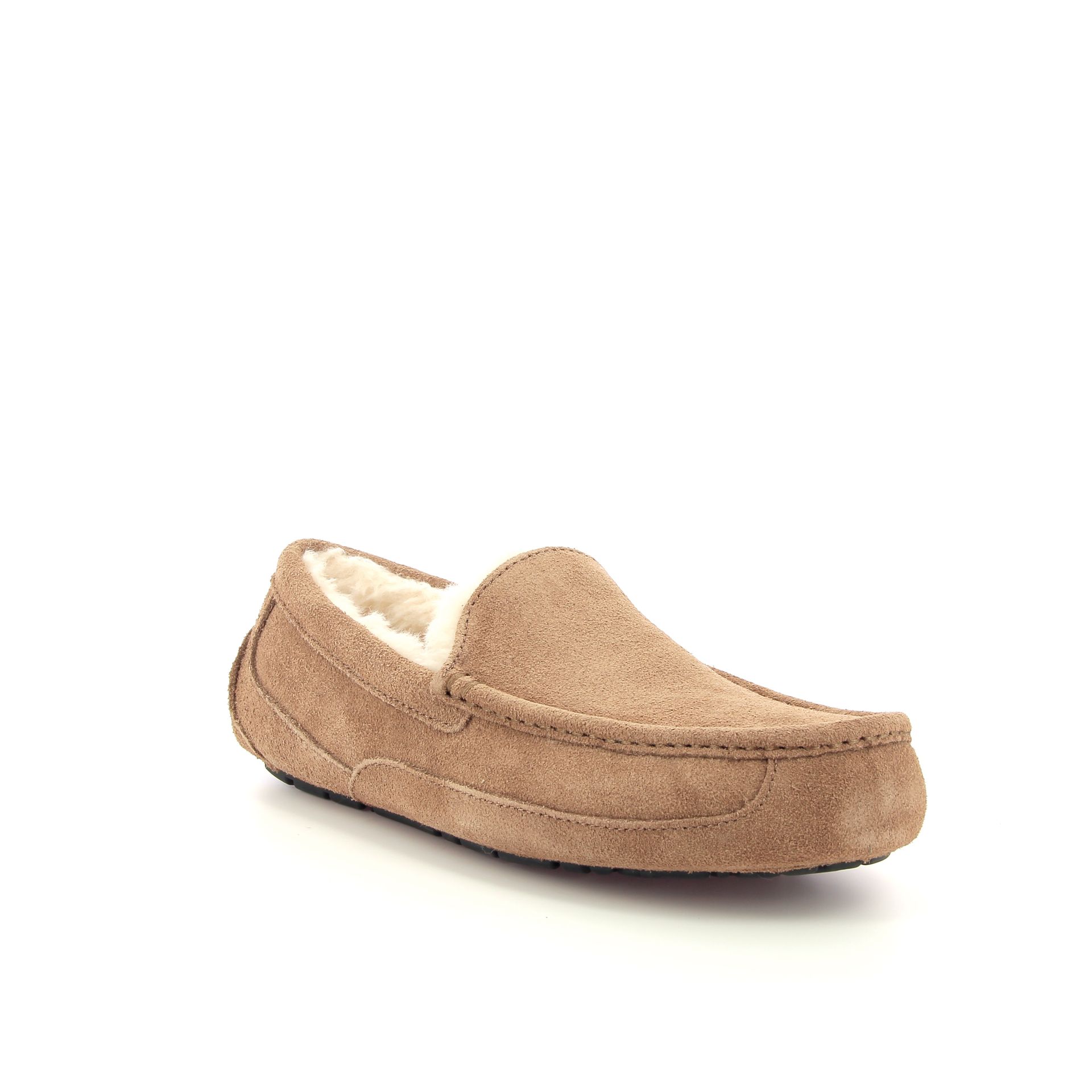 Ugg Ascot 255914 cognac