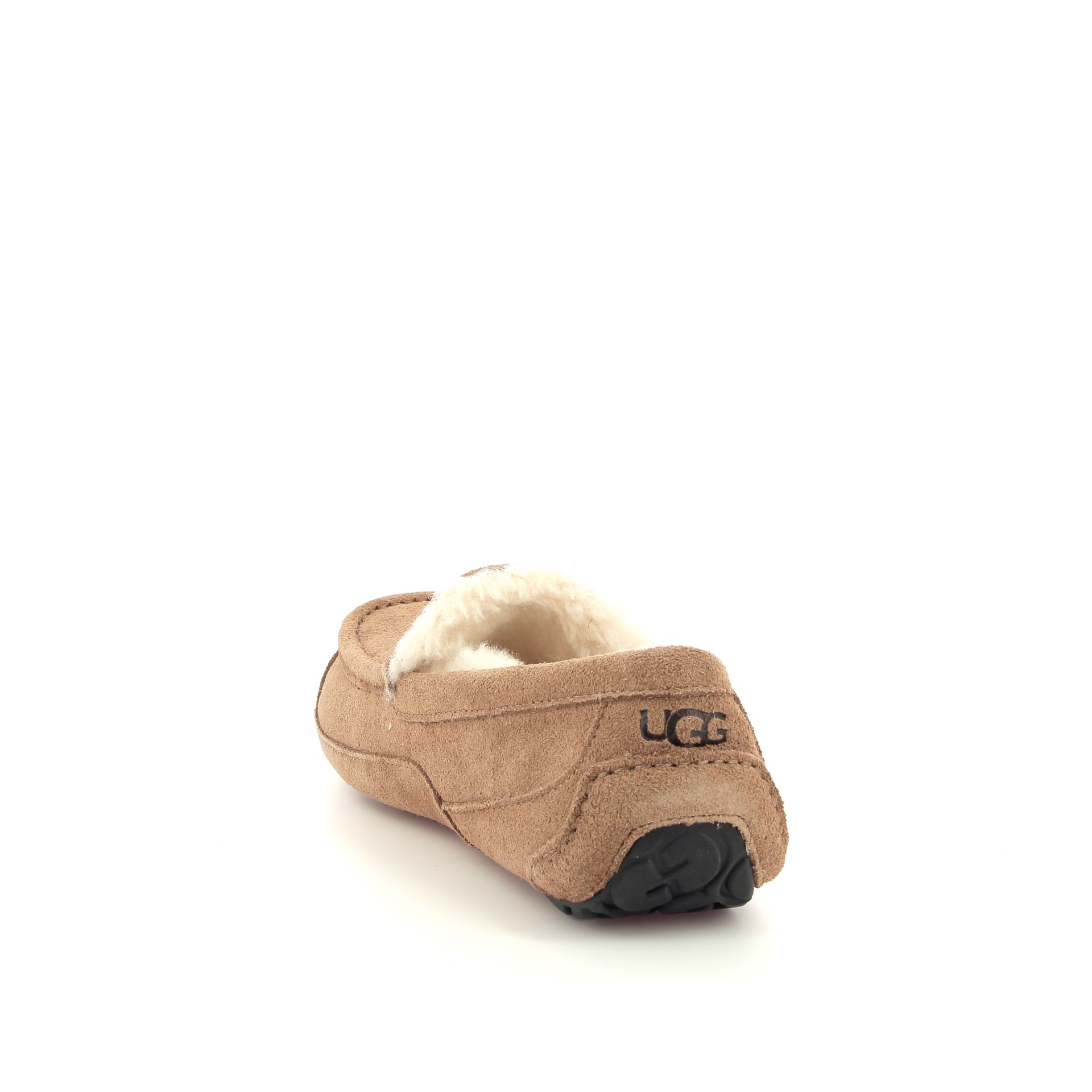 Ugg Ascot 255914 cognac