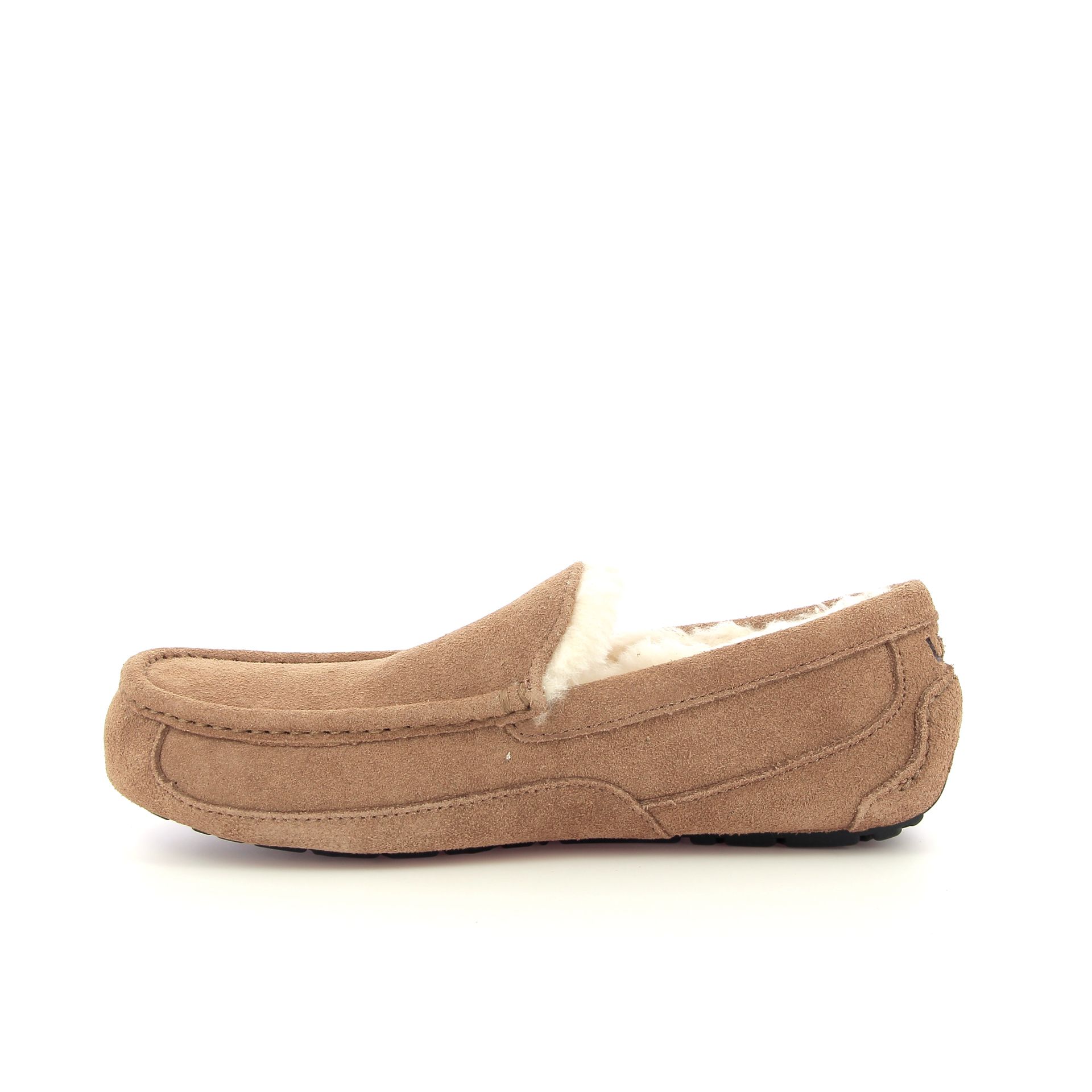 Ugg Ascot 255914 cognac