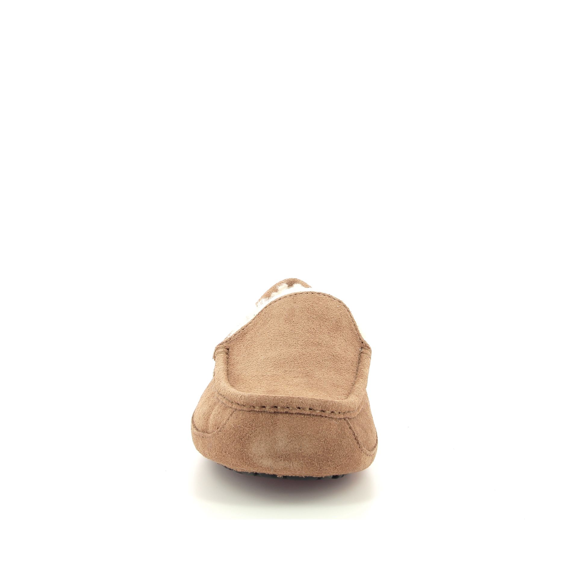 Ugg Ascot 255914 cognac