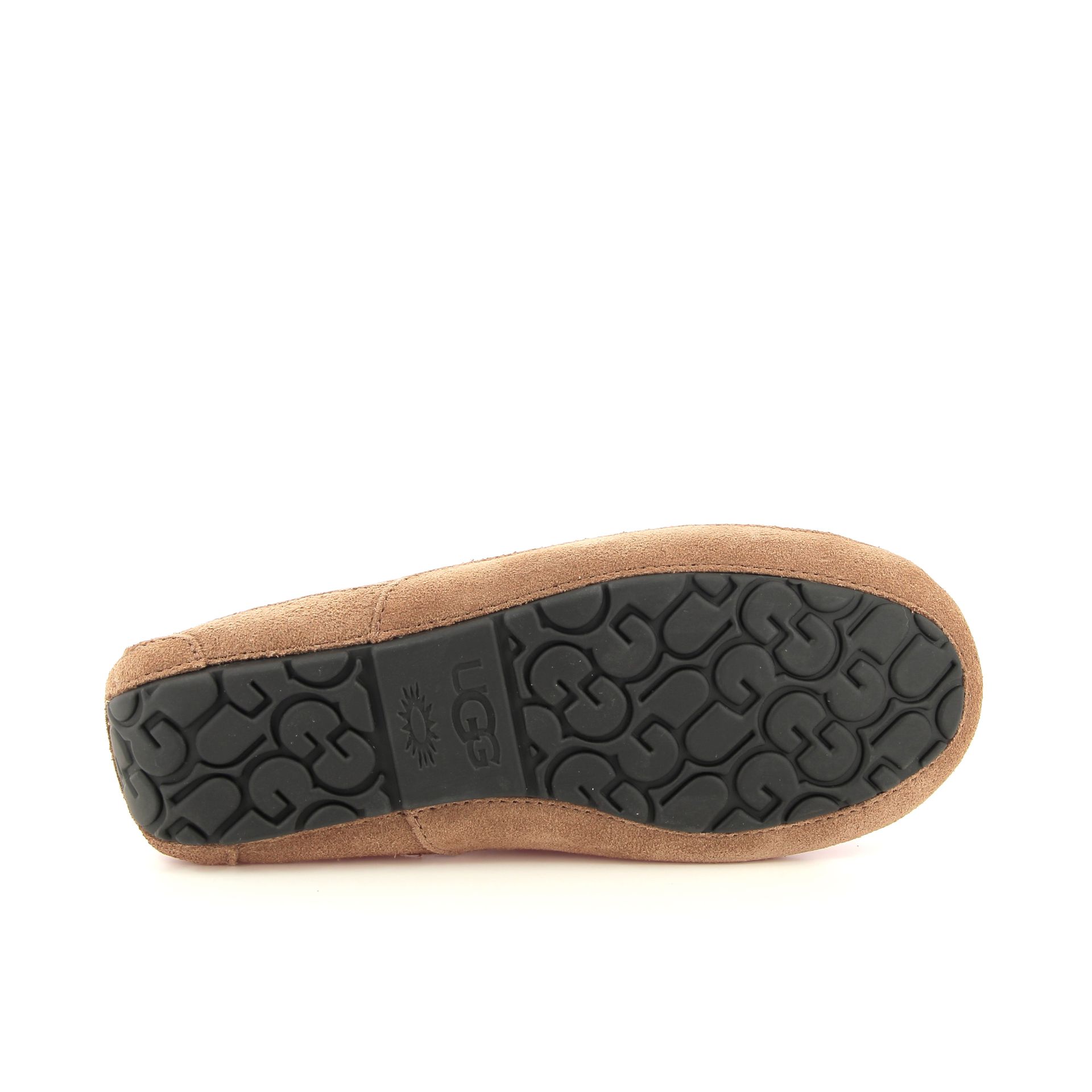 Ugg Ascot 255914 cognac