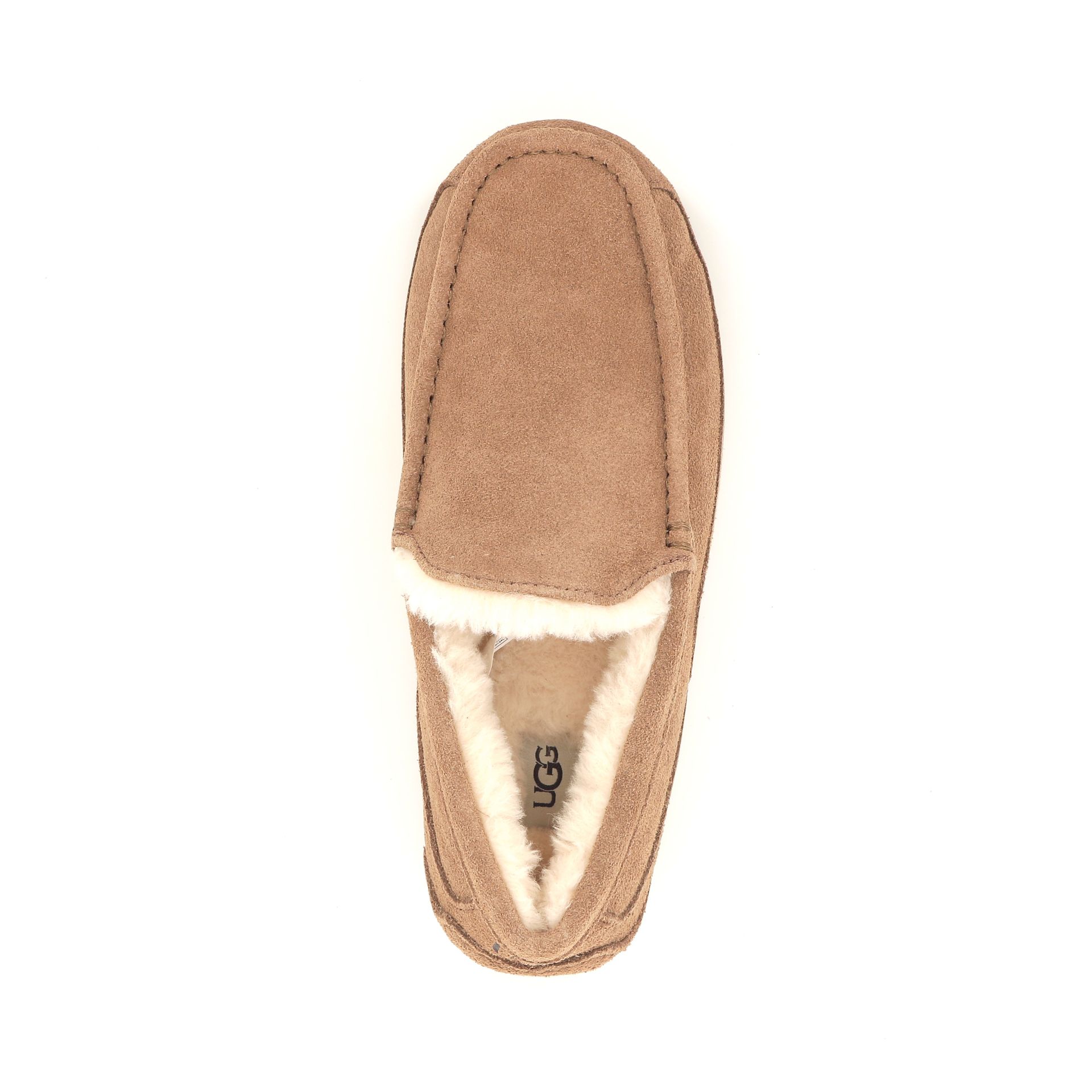Ugg Ascot 255914 cognac