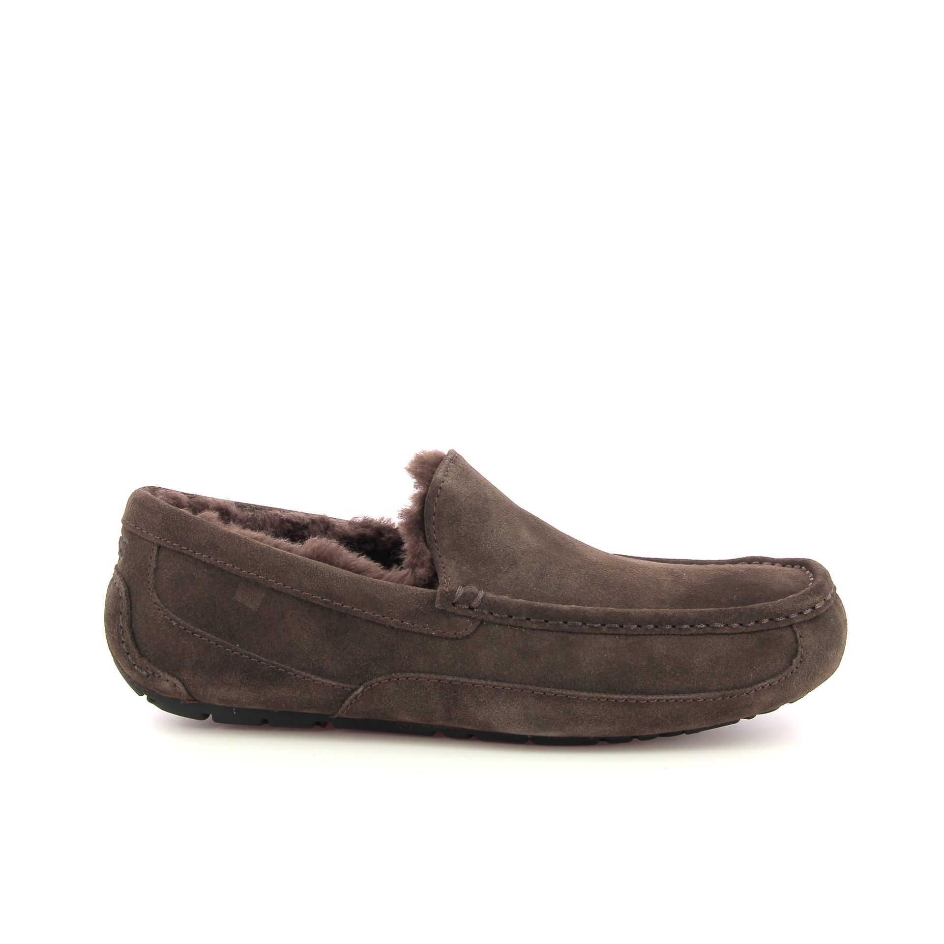 Ugg Ascot 255915 bruin