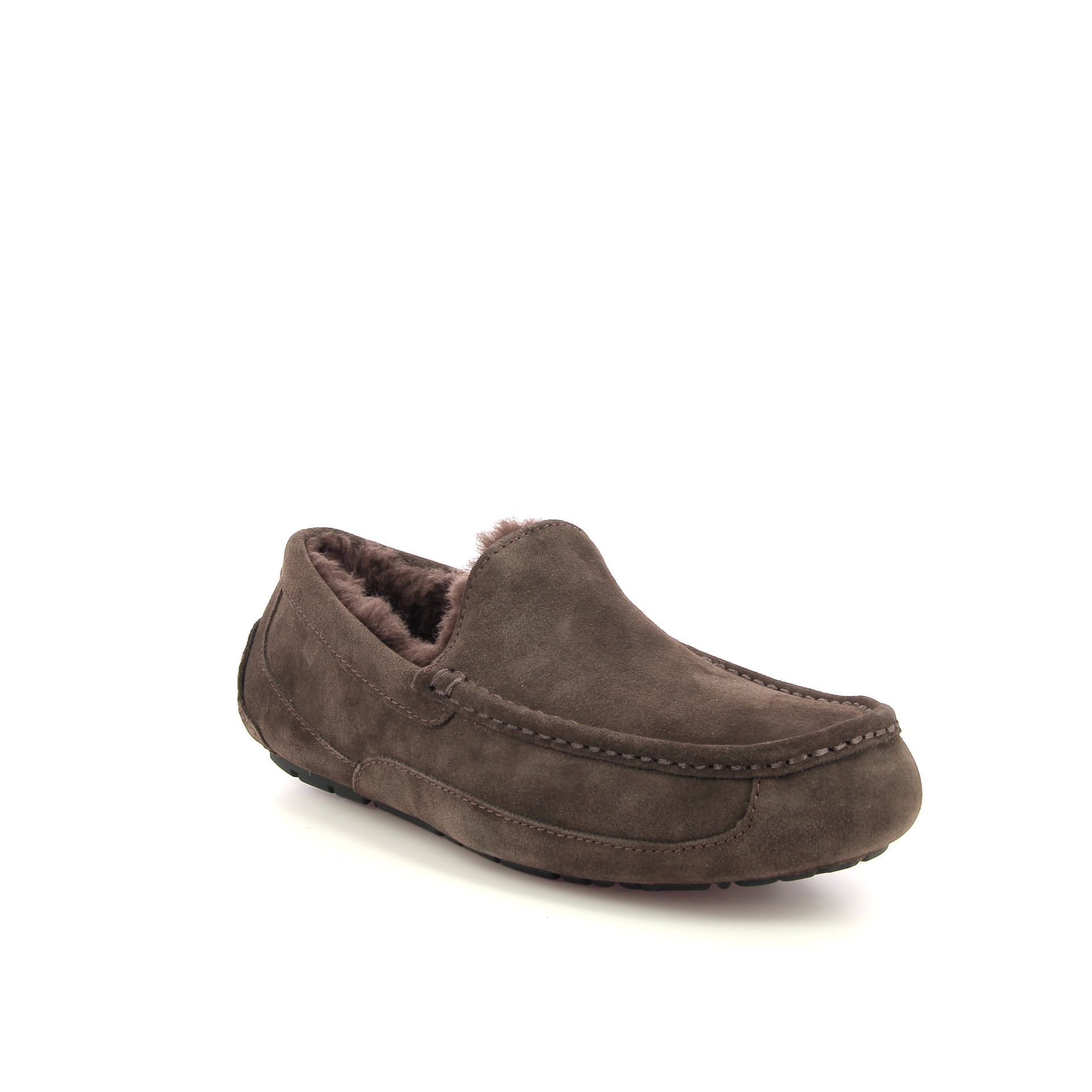 Ugg Ascot 255915 bruin
