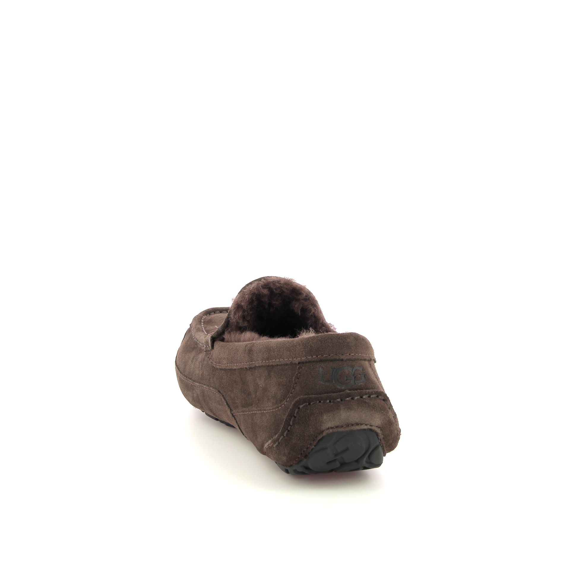 Ugg Ascot 255915 bruin