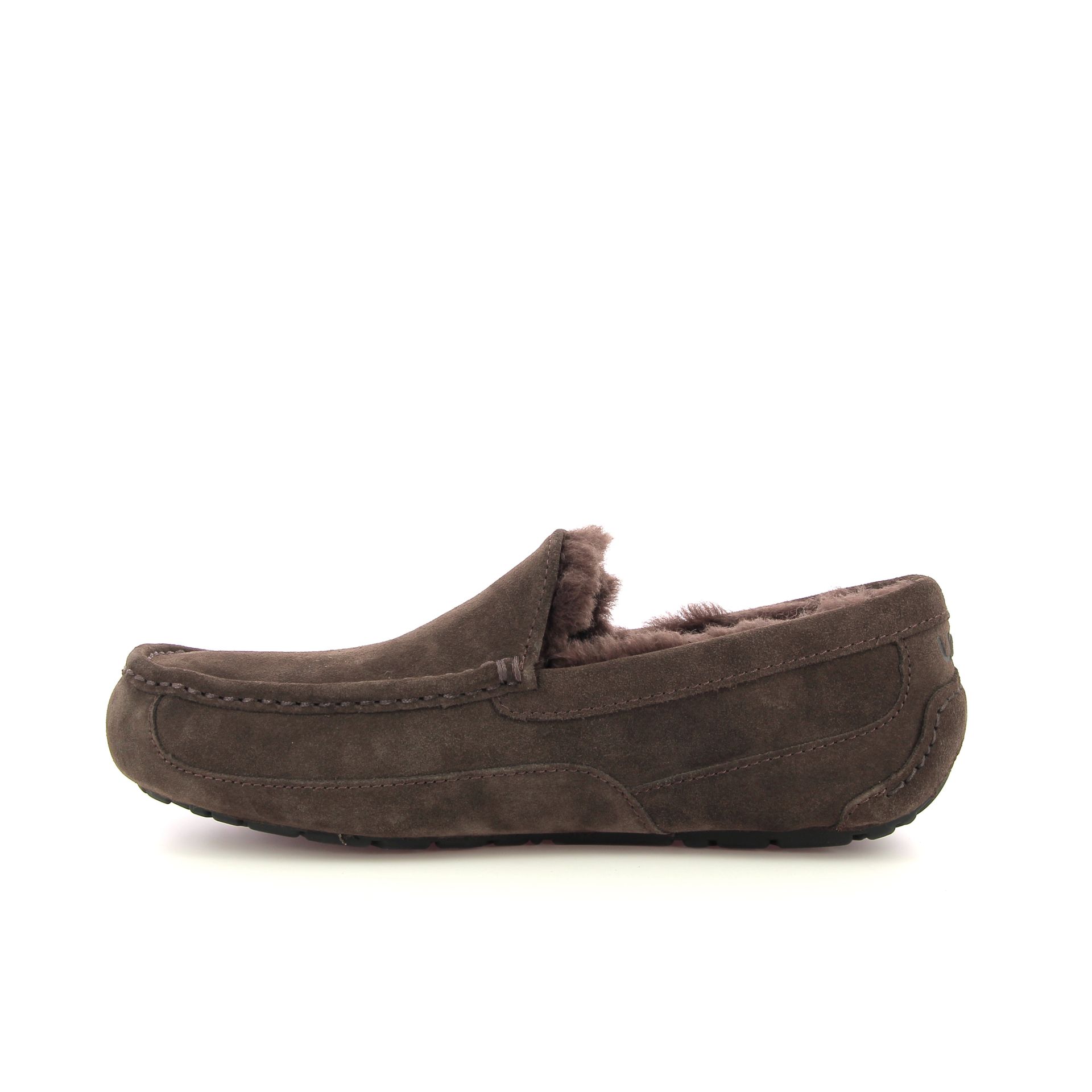 Ugg Ascot 255915 bruin