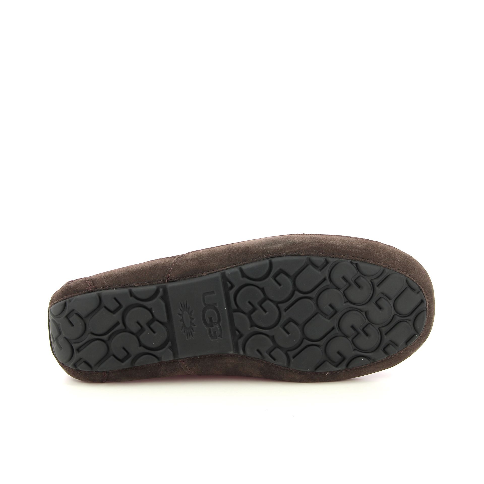 Ugg Ascot 255915 bruin