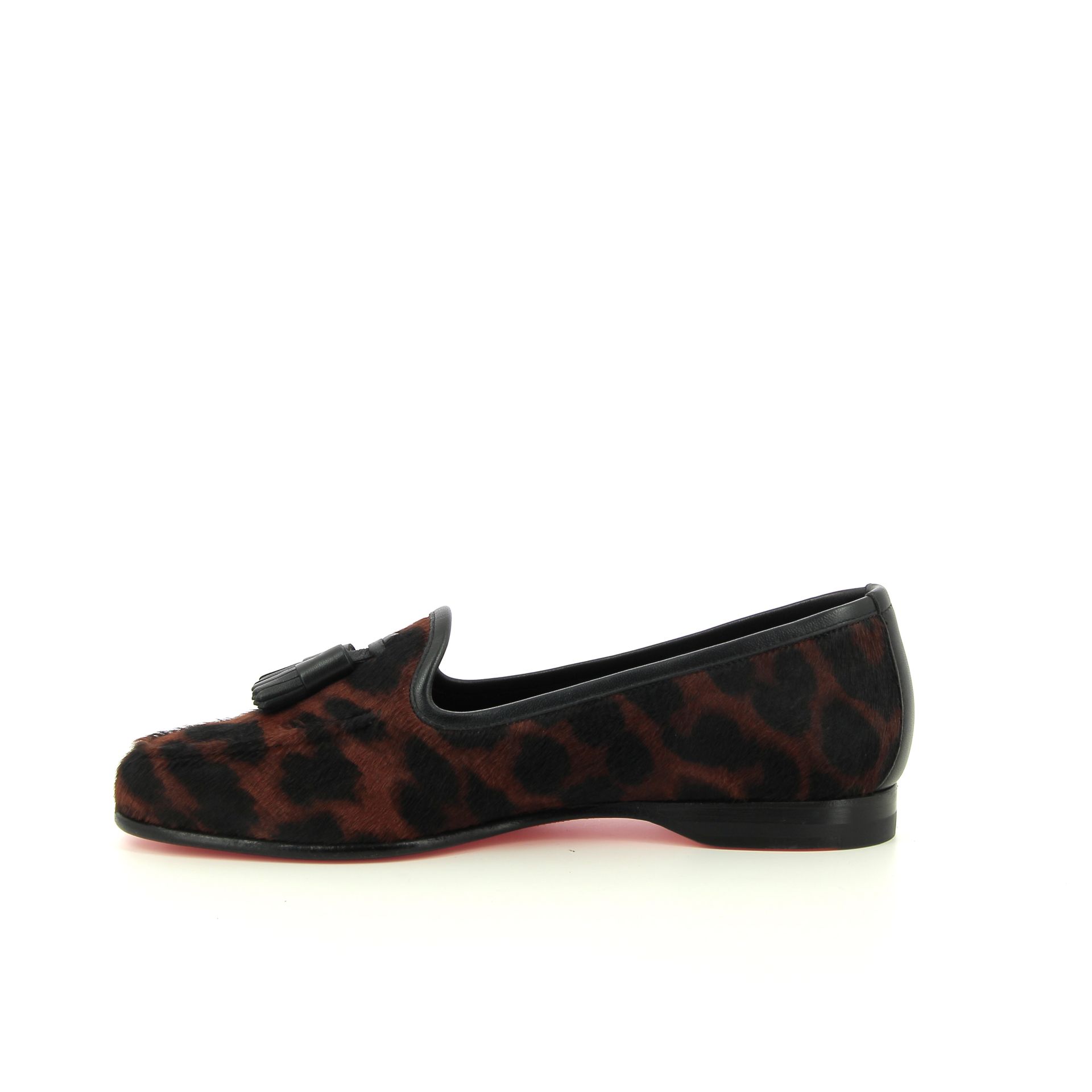 Santoni Andrea 256251 bruin
