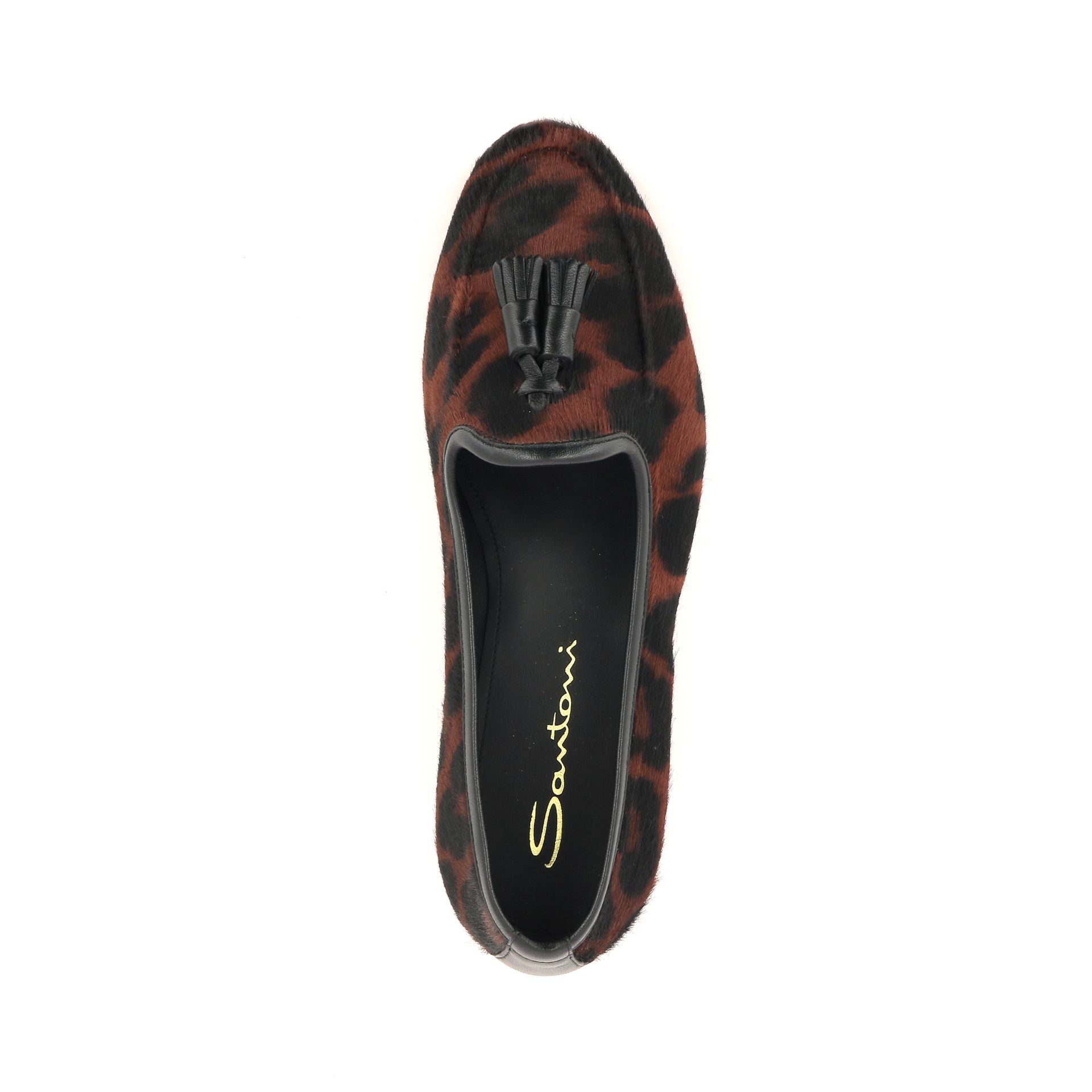 Santoni Andrea 256251 bruin