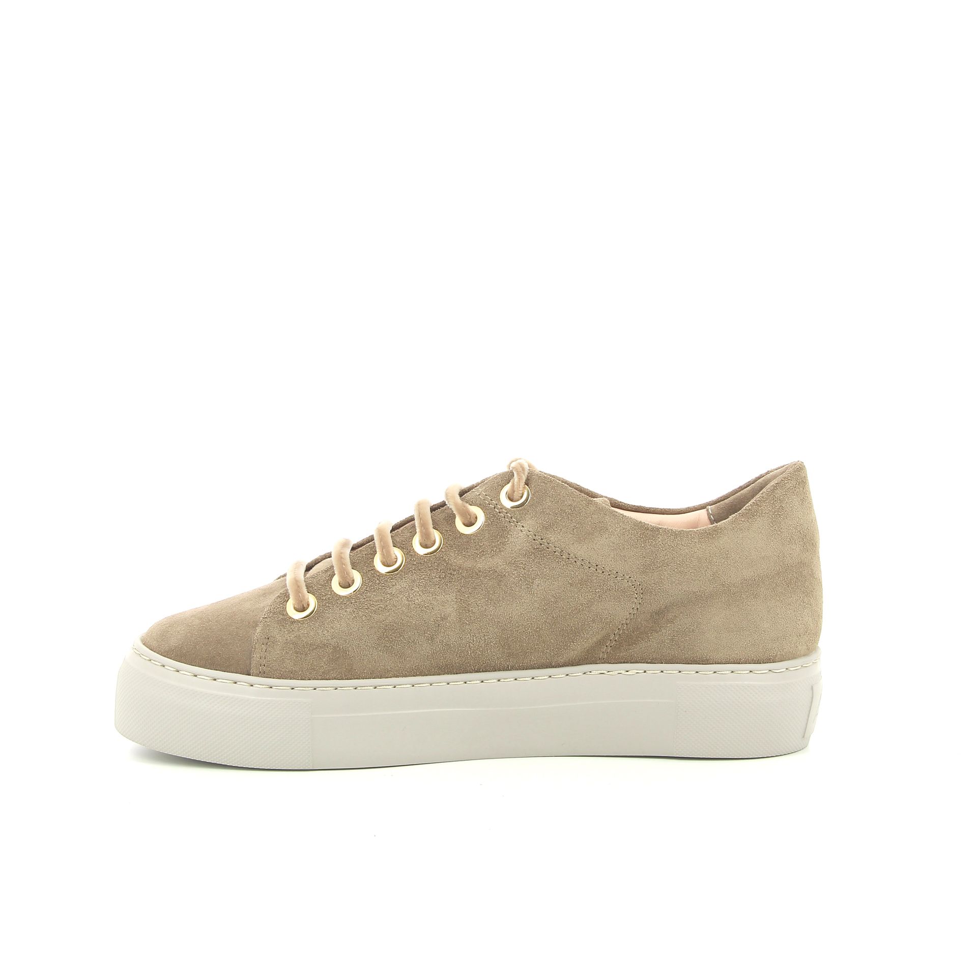 Agl Crystal Velvet 256289 taupe